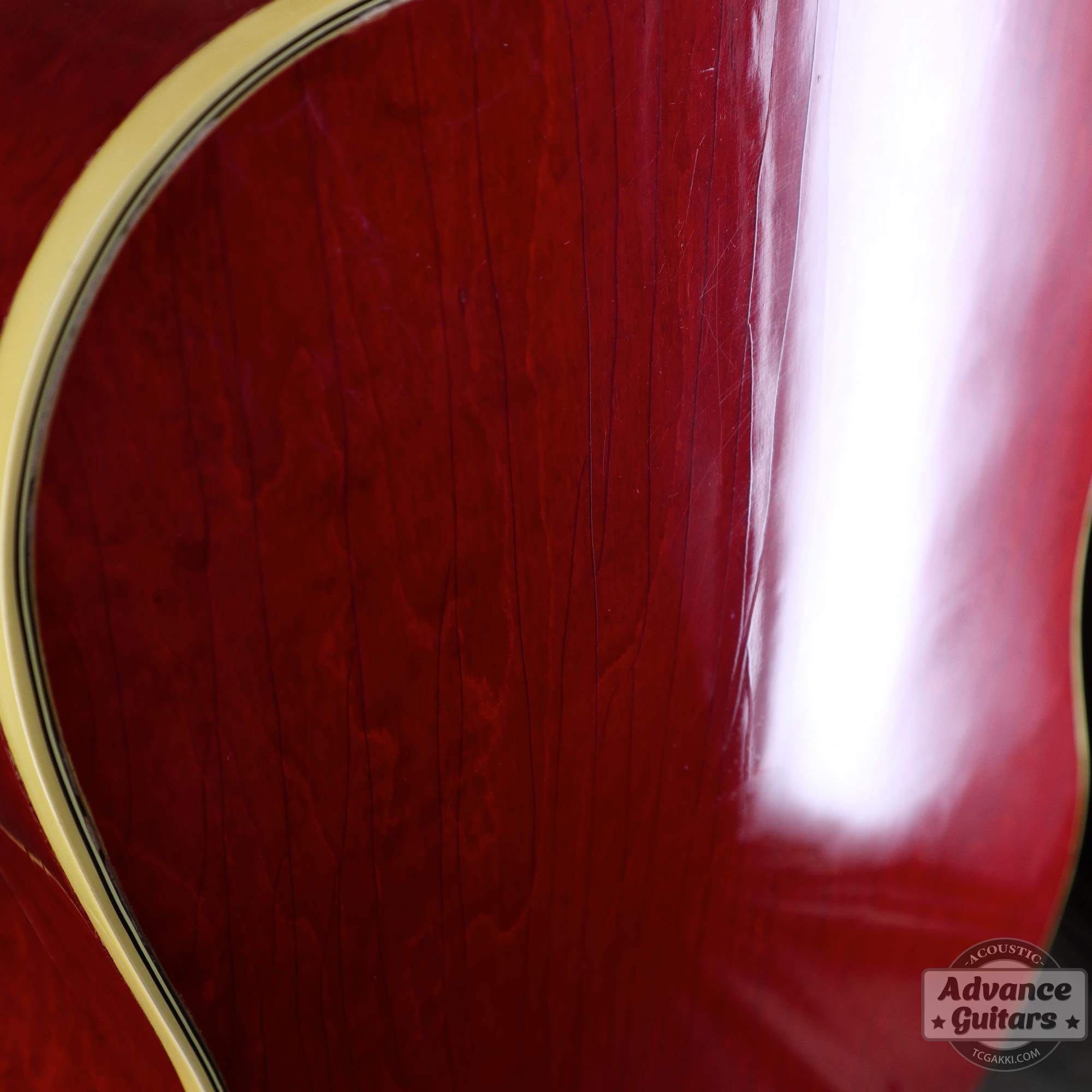 1964年製 Dove Natural - TC楽器 - TCGAKKI