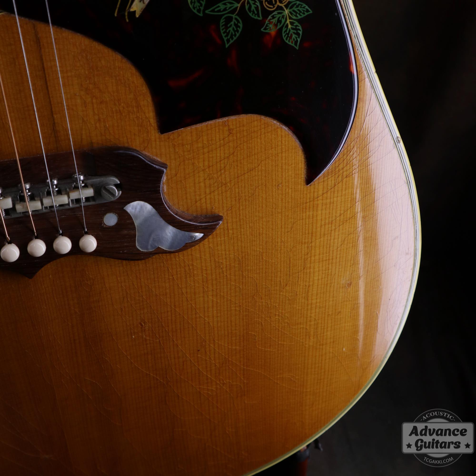 1964年製 Dove Natural