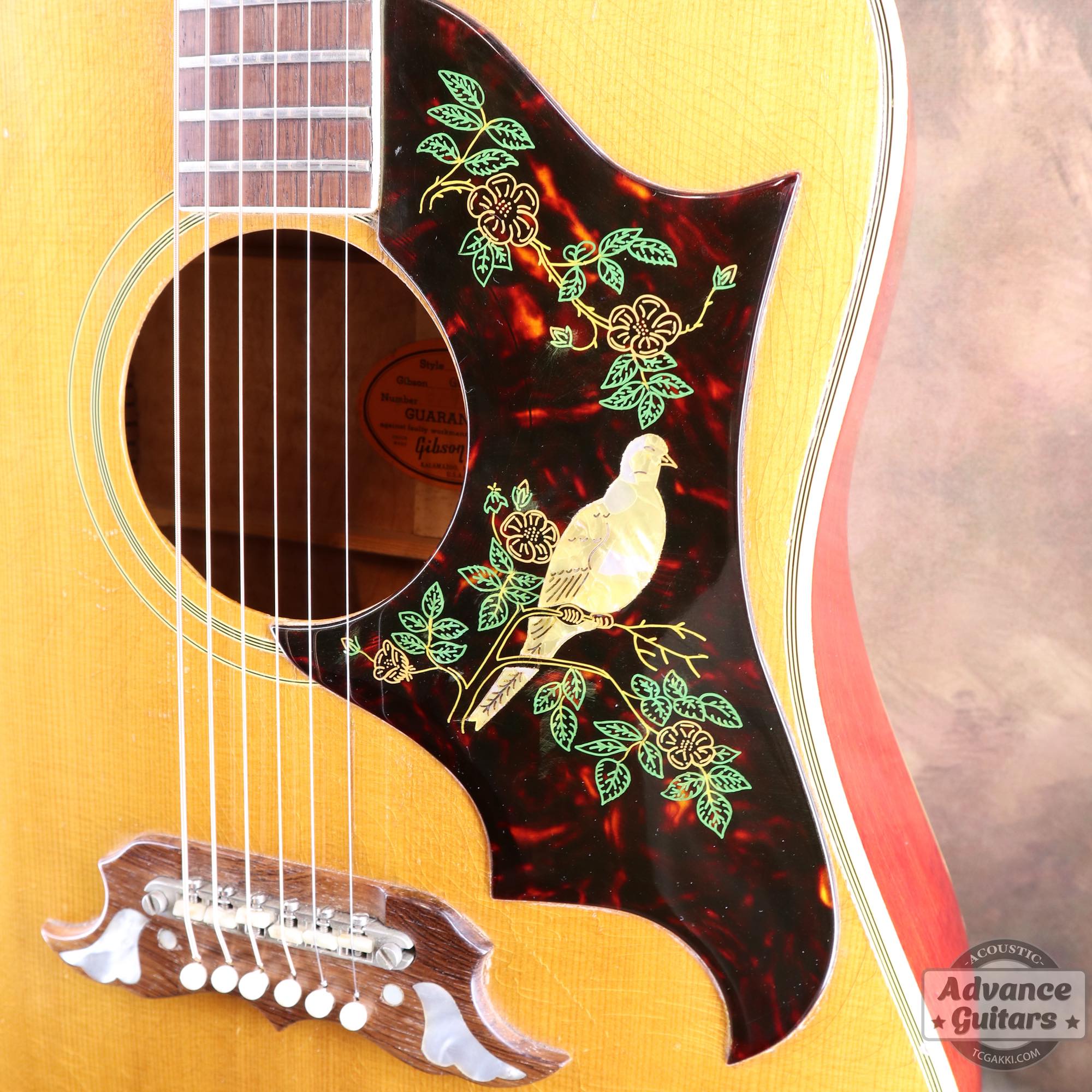 1964年製 Dove Natural - TC楽器 - TCGAKKI