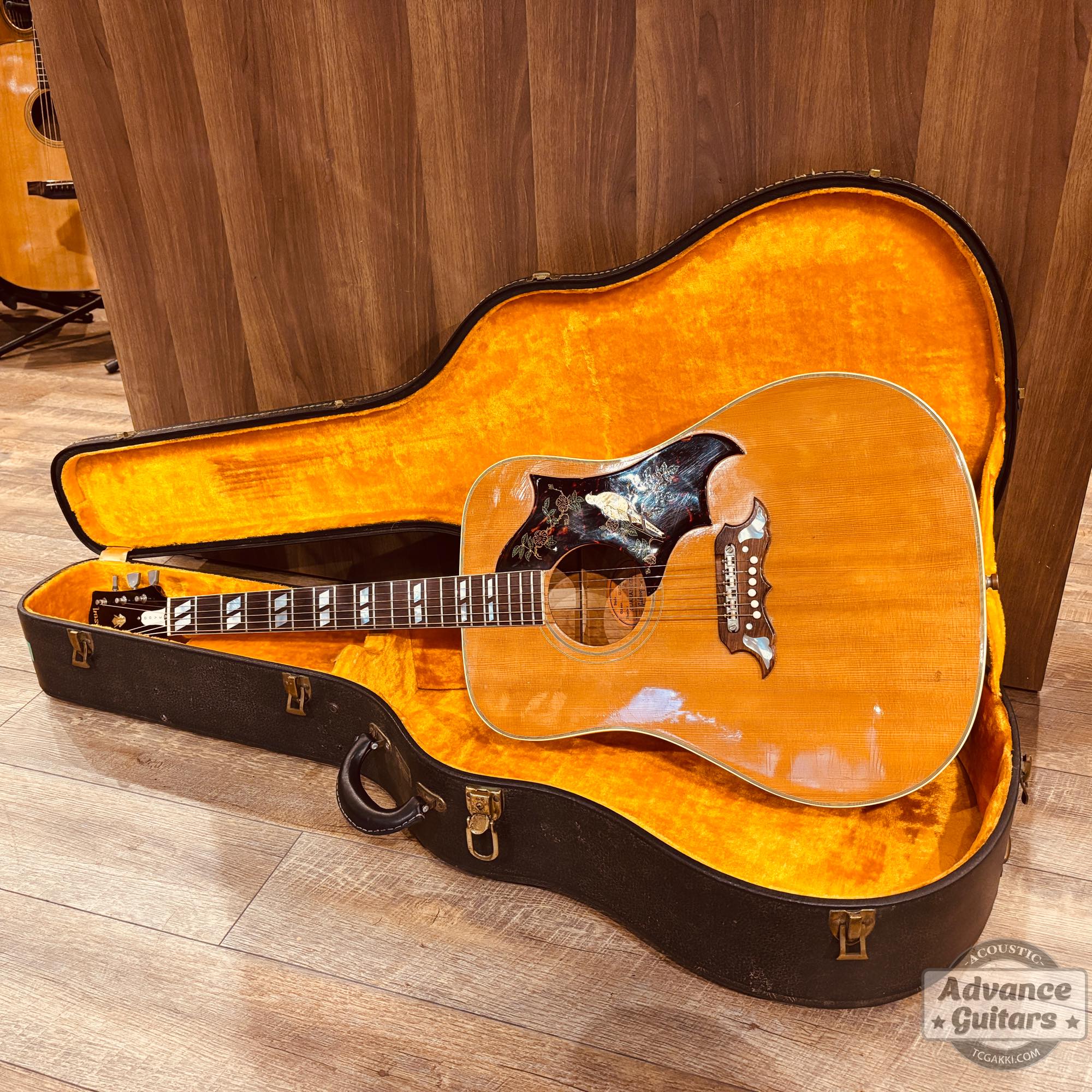 ジャパンヴィンテージ　ギター　DOVE Vintage File】1965年製Gibson DOVE Natural ～鳩は何を思う