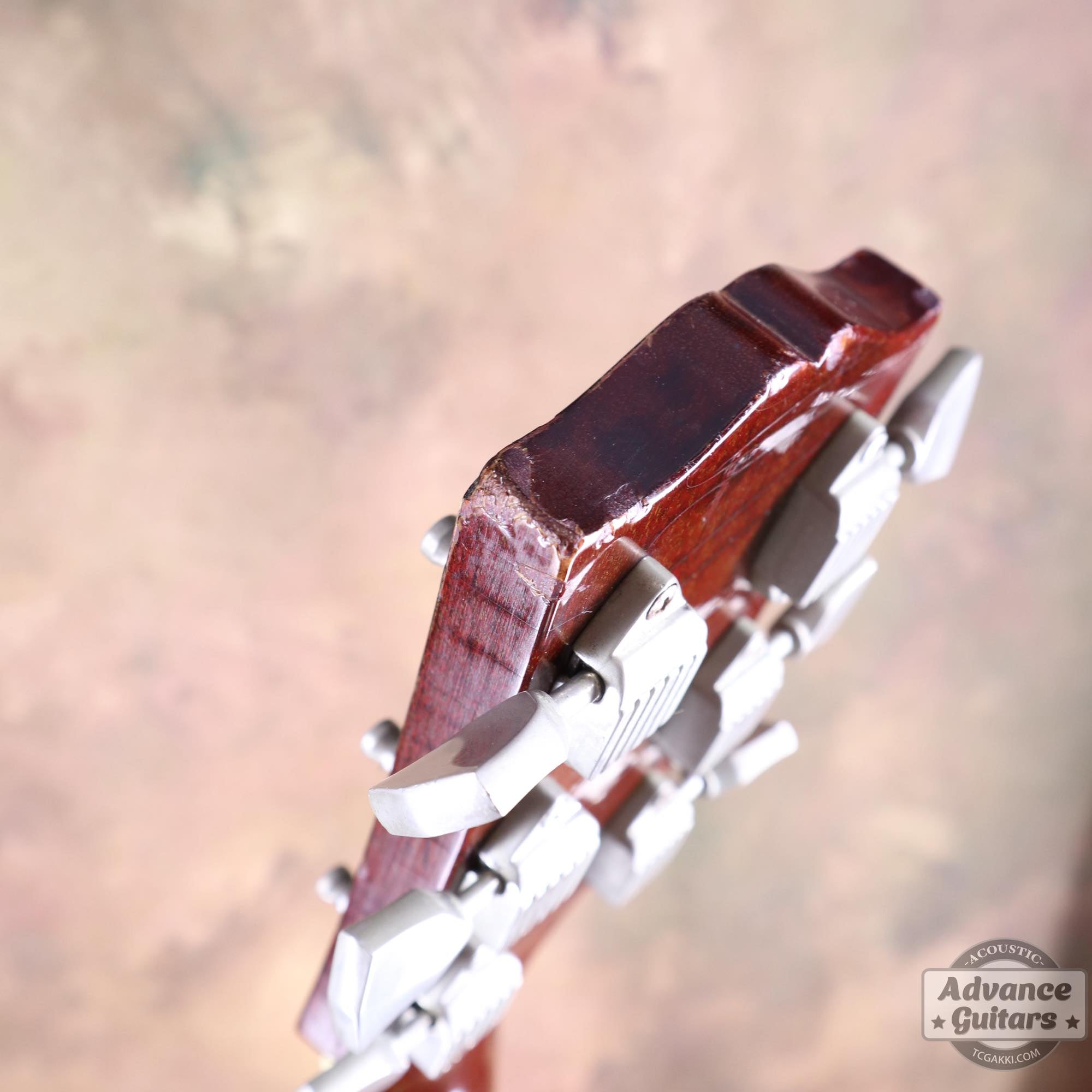 1964年製 Dove Natural - TC楽器 - TCGAKKI