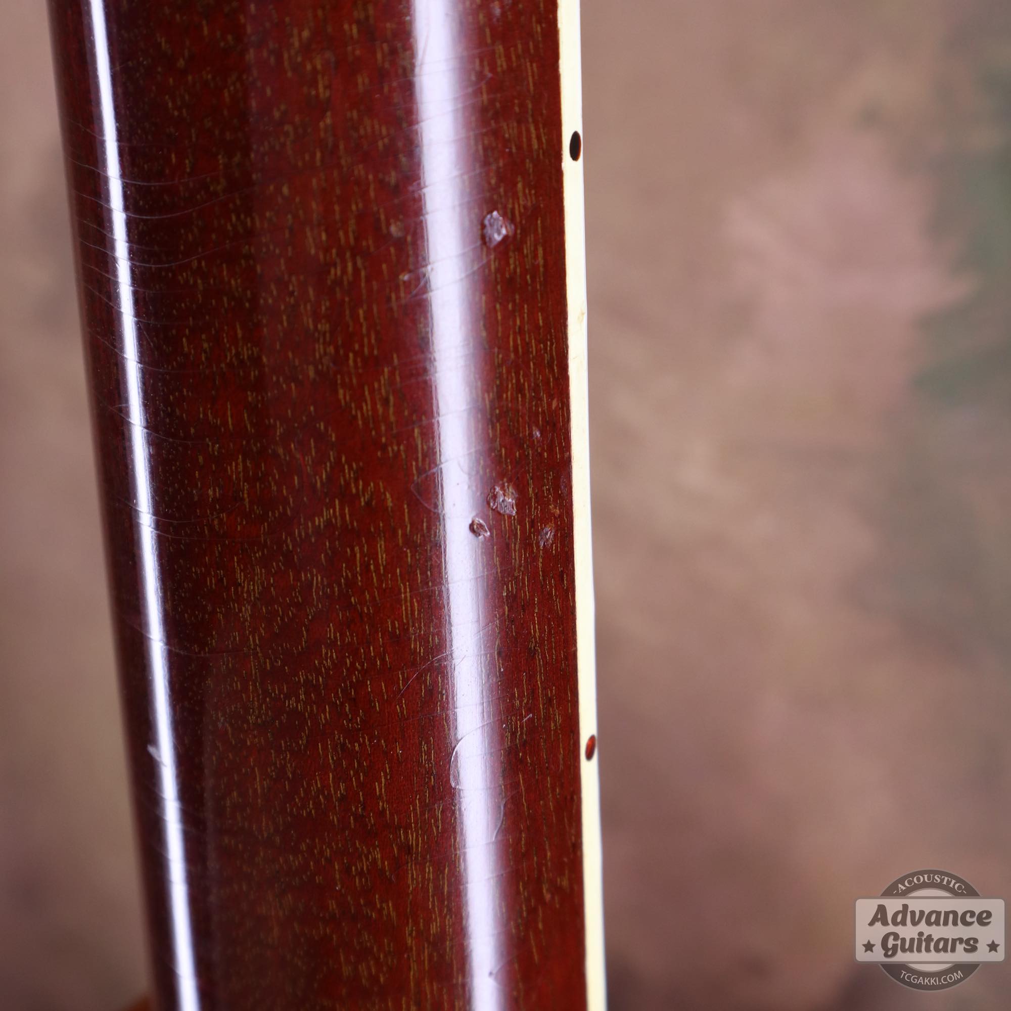 1964年製 Dove Natural - TC楽器 - TCGAKKI