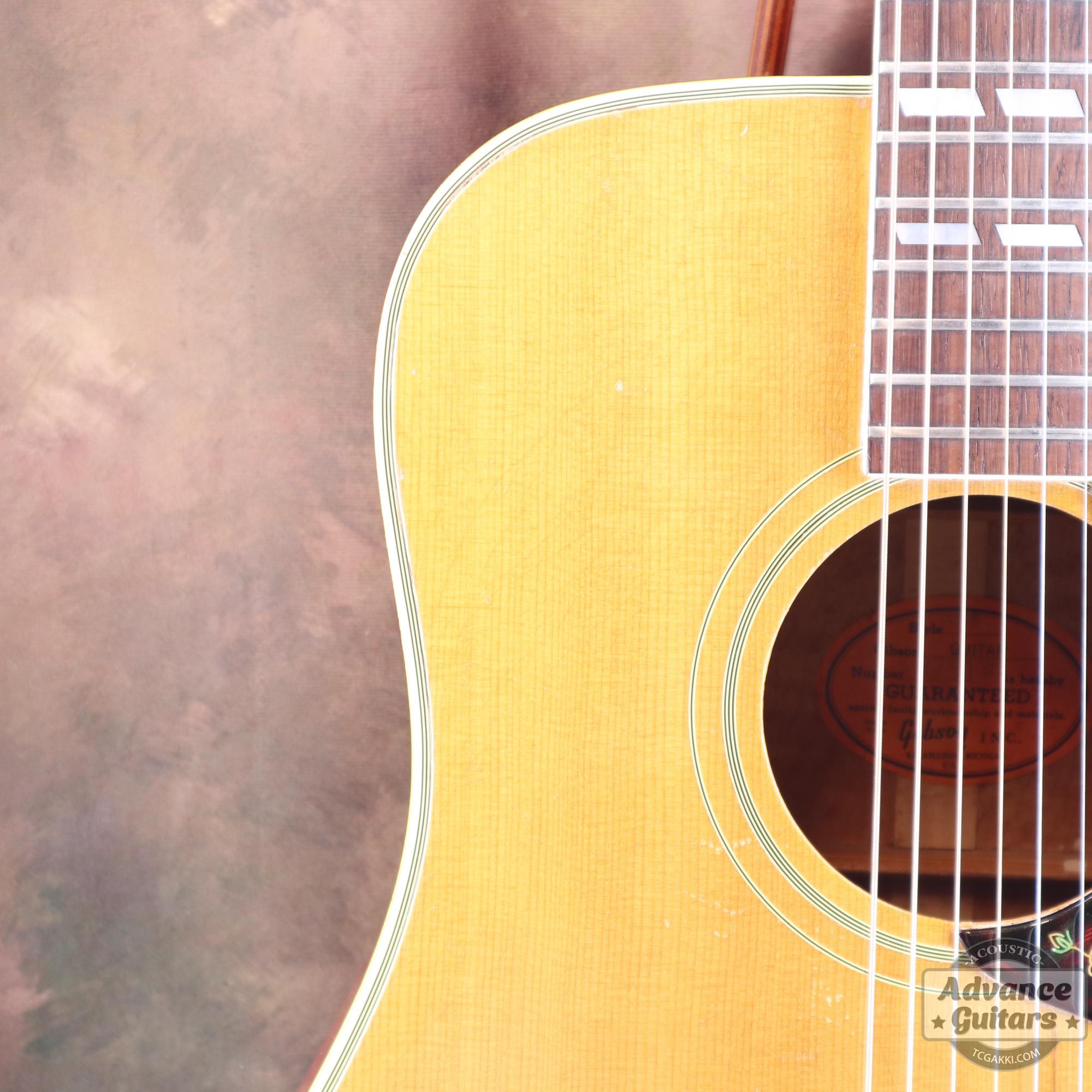 1964年製 Dove Natural - TC楽器 - TCGAKKI