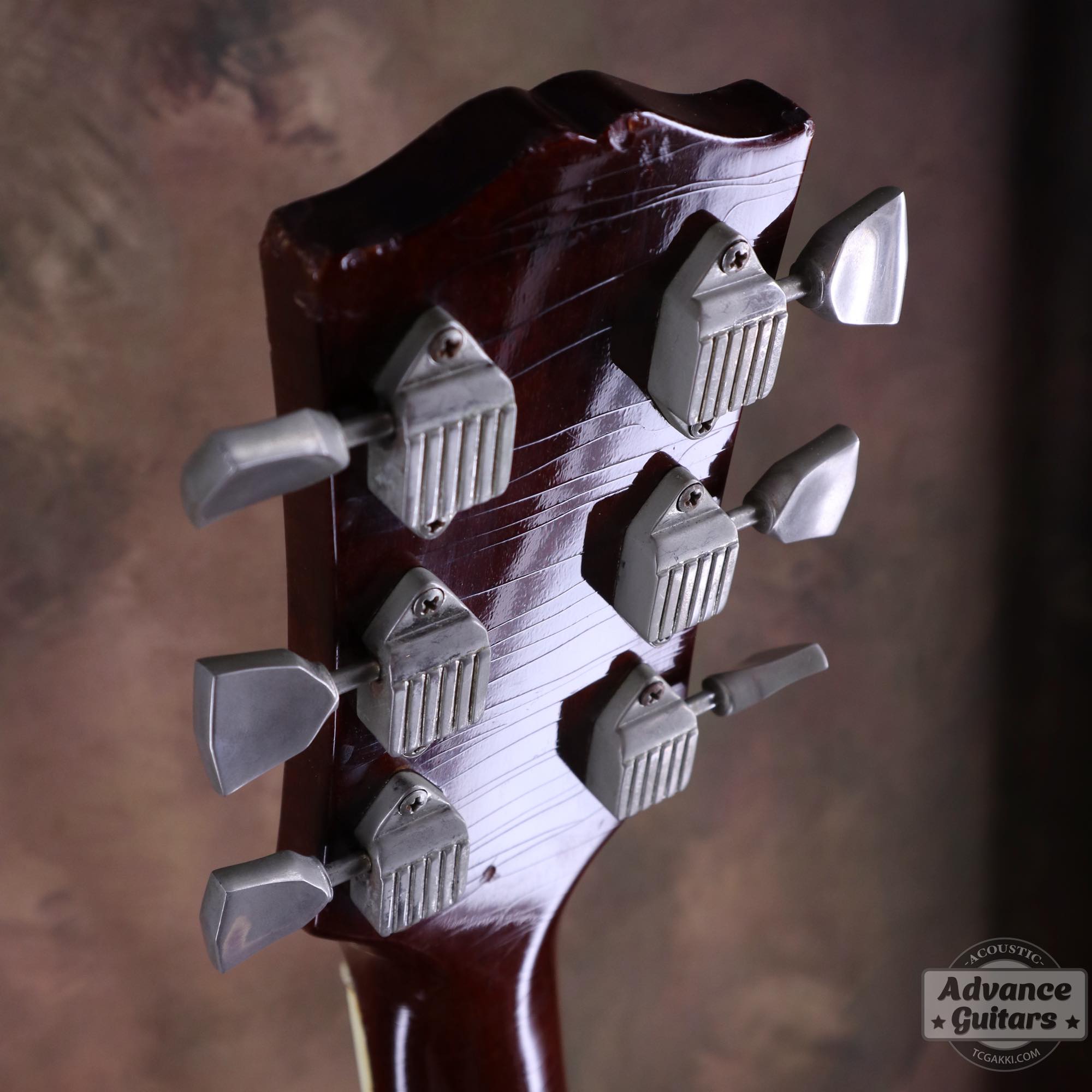 1964年製 Dove Natural - TC楽器 - TCGAKKI