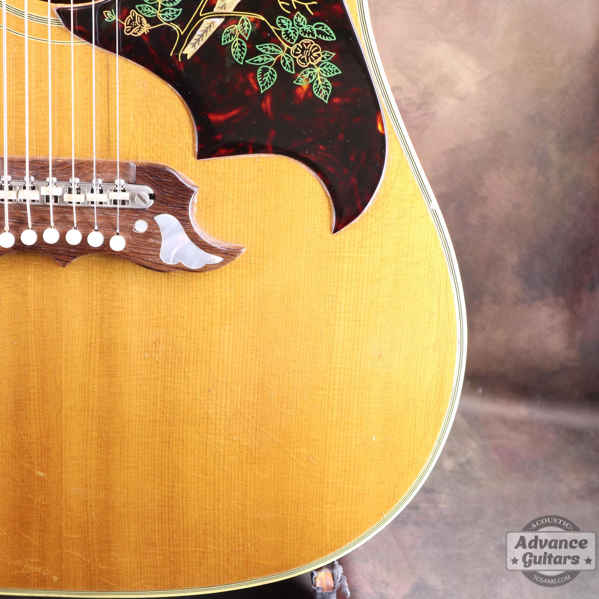 1964年製 Dove Natural - TC楽器 - TCGAKKI