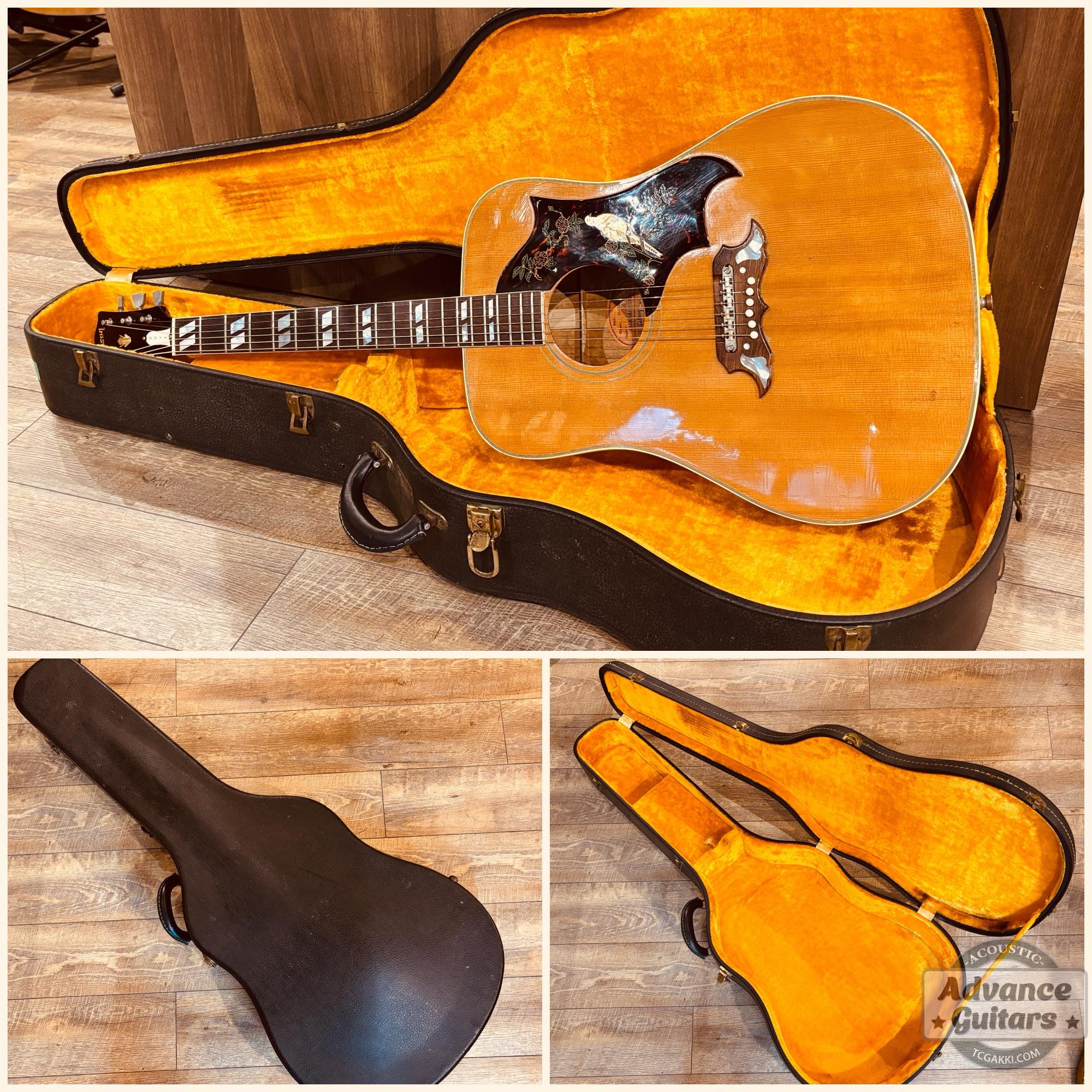 1964年製 Dove Natural - TC楽器 - TCGAKKI