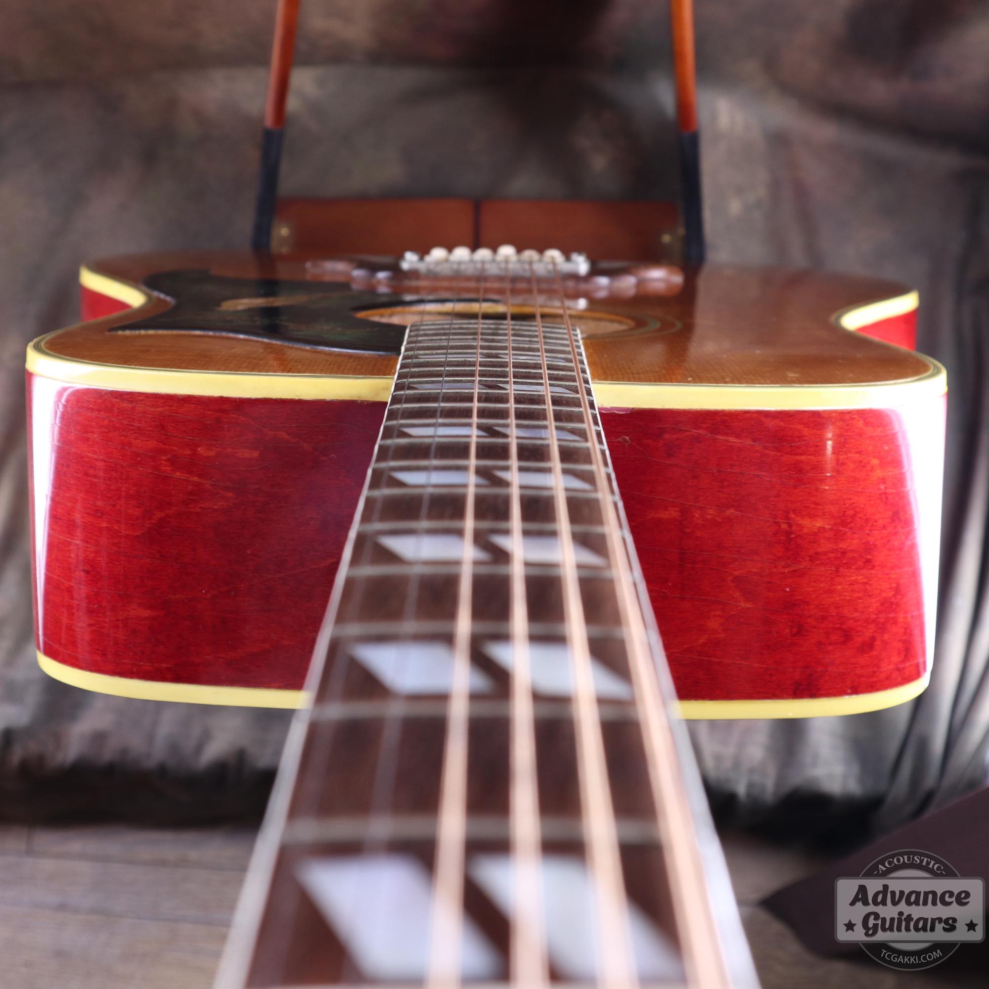 1964年製 Dove Natural - TC楽器 - TCGAKKI