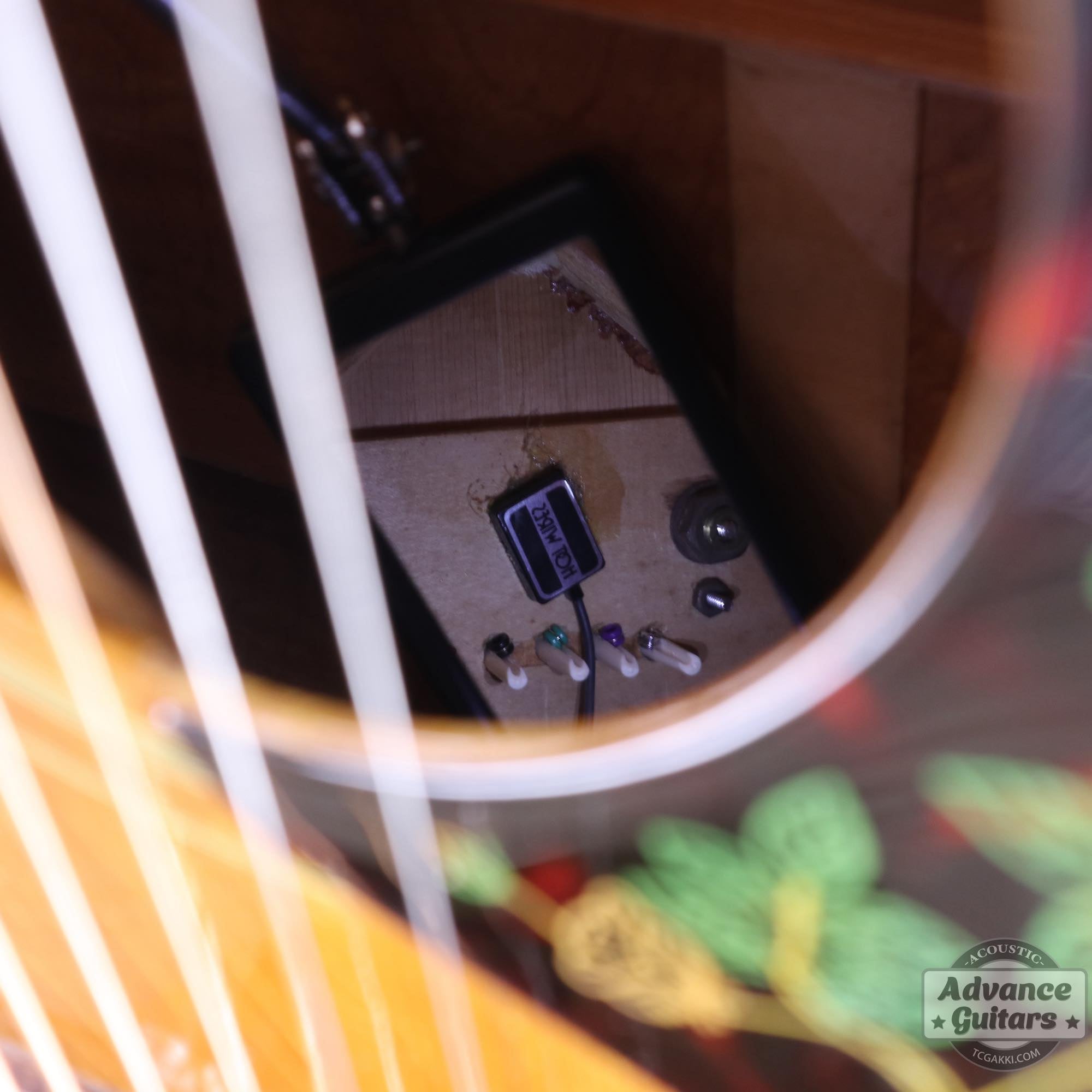 1964年製 Dove Natural - TC楽器 - TCGAKKI