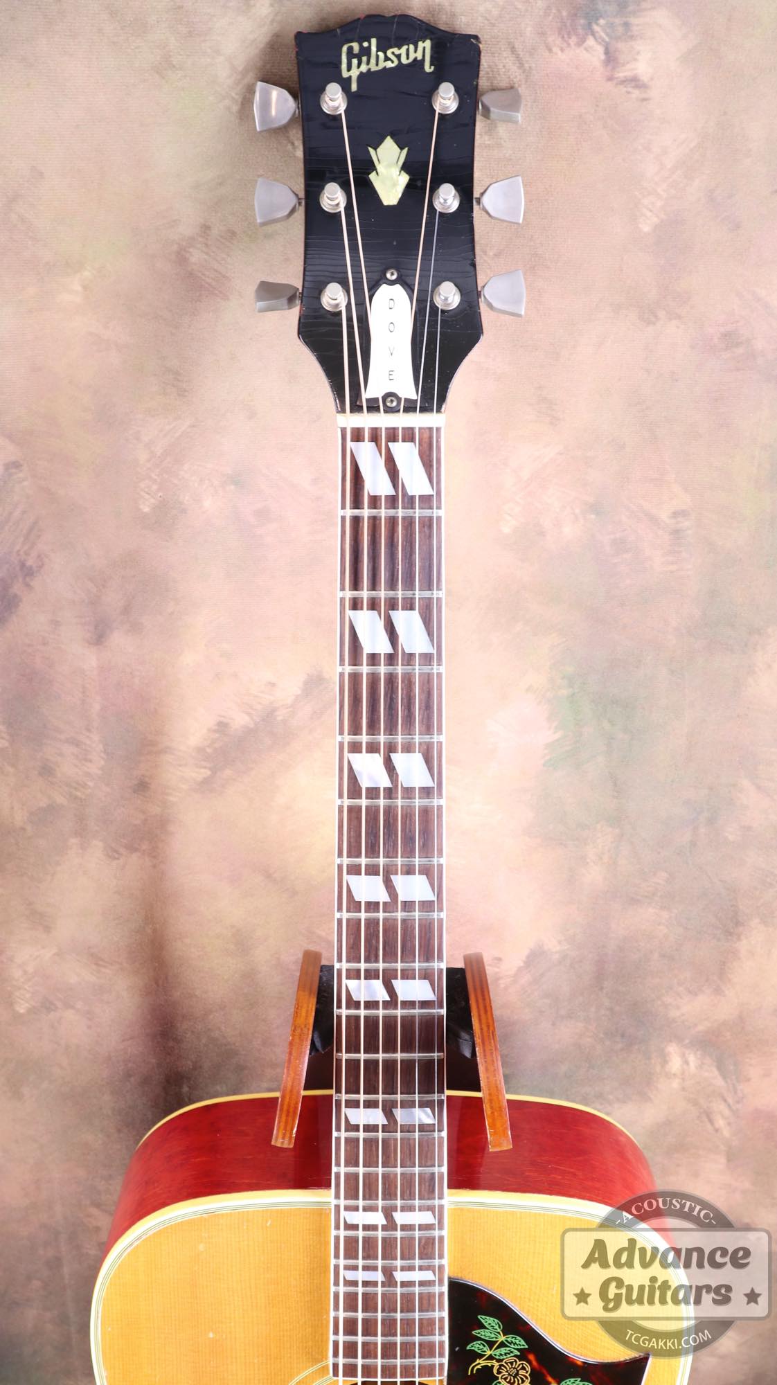 1964年製 Dove Natural - TC楽器 - TCGAKKI