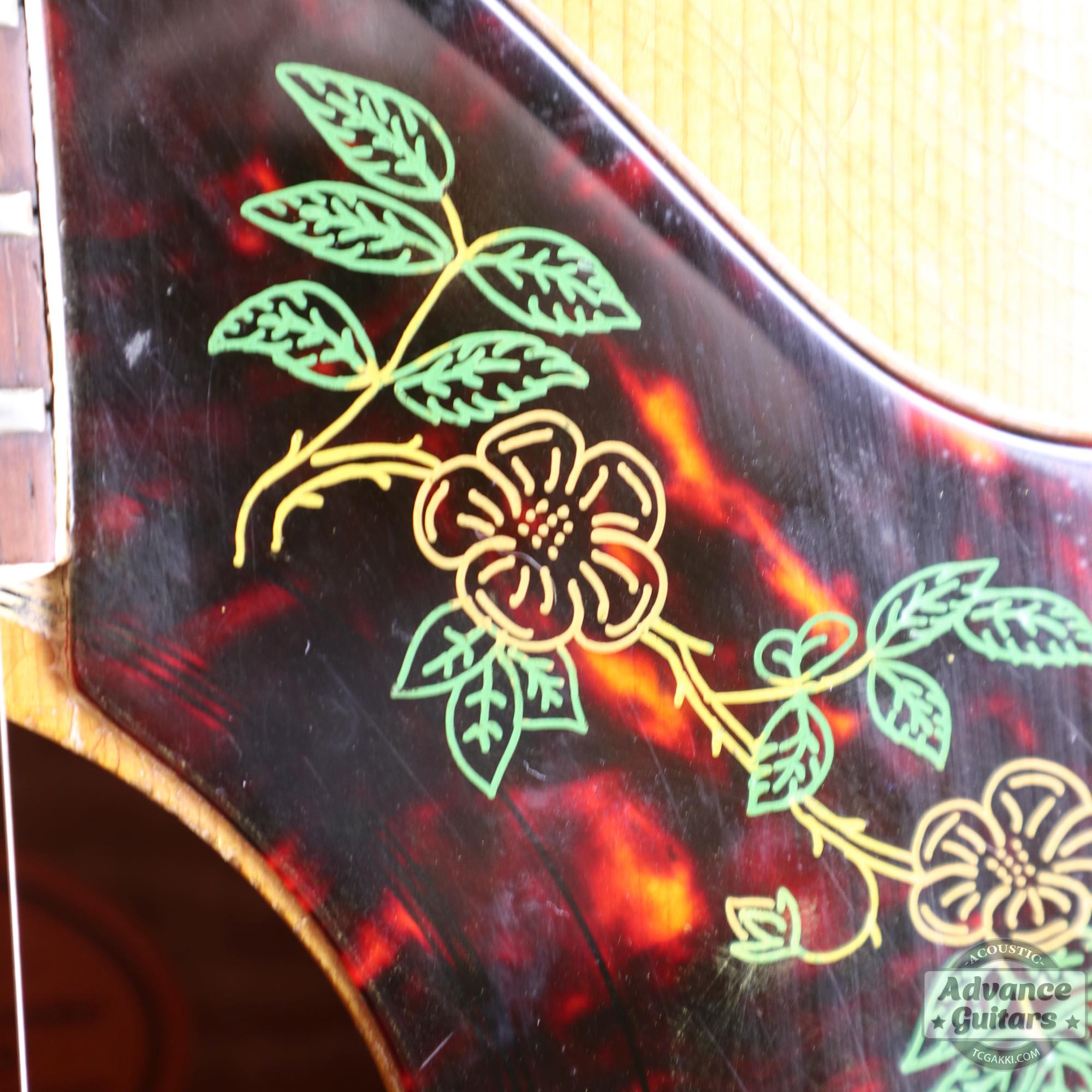 1964年製 Dove Natural - TC楽器 - TCGAKKI