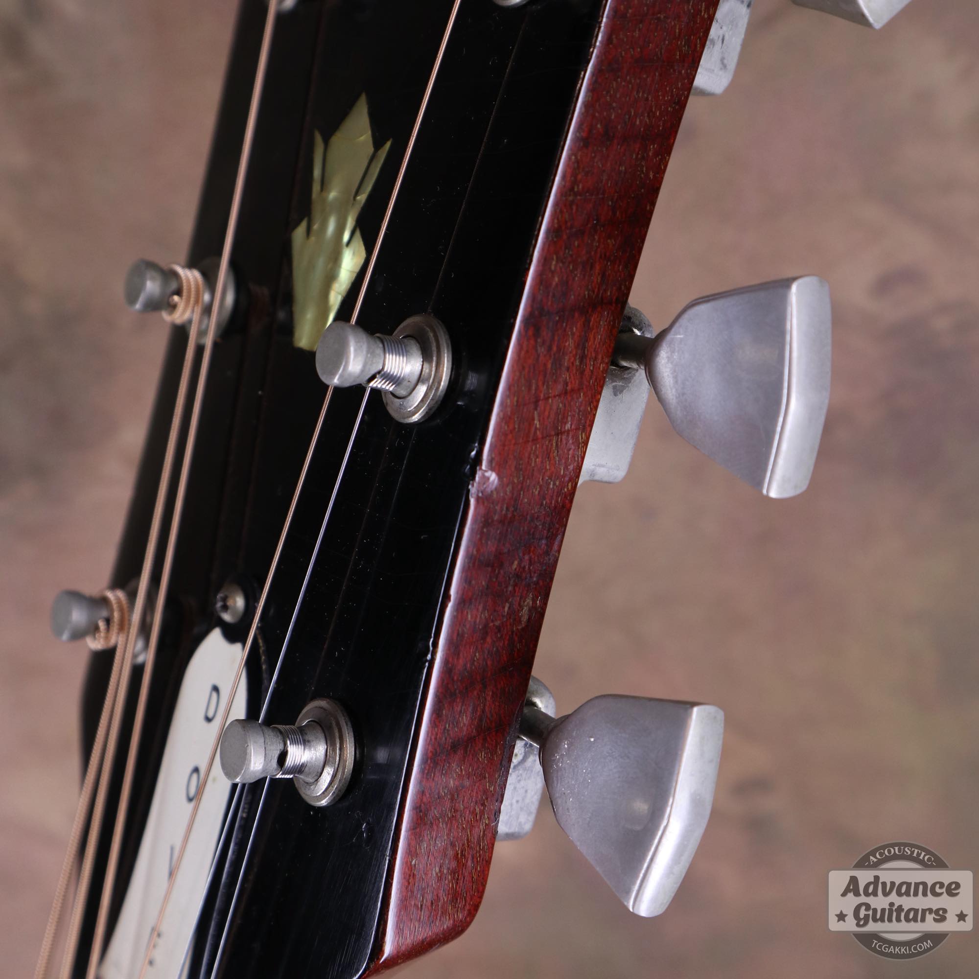 1964年製 Dove Natural - TC楽器 - TCGAKKI