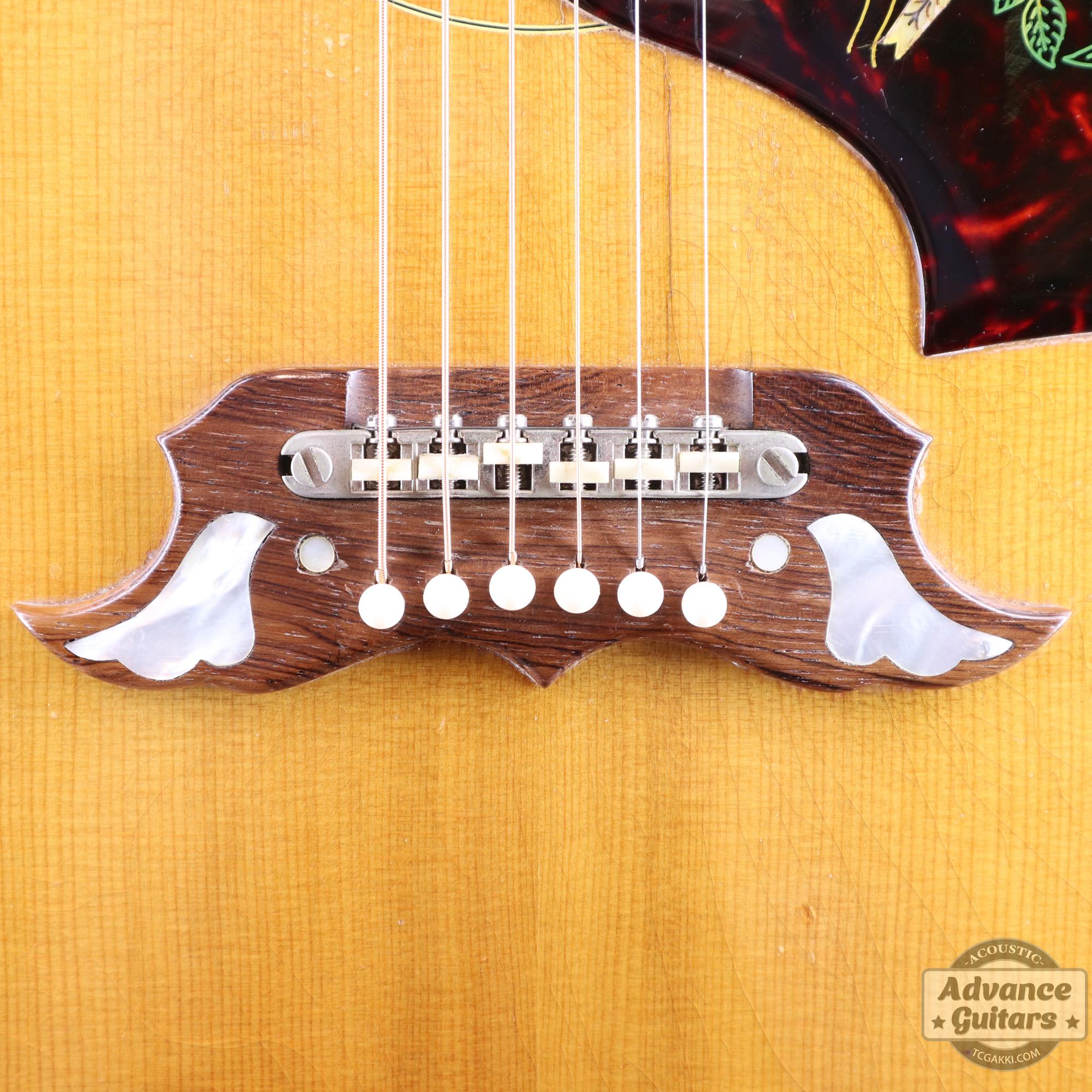 1964年製 Dove Natural - TC楽器 - TCGAKKI