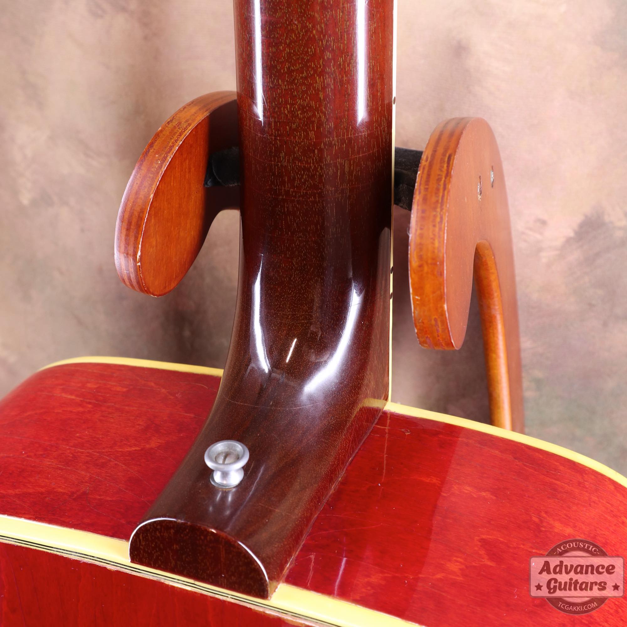 1964年製 Dove Natural - TC楽器 - TCGAKKI