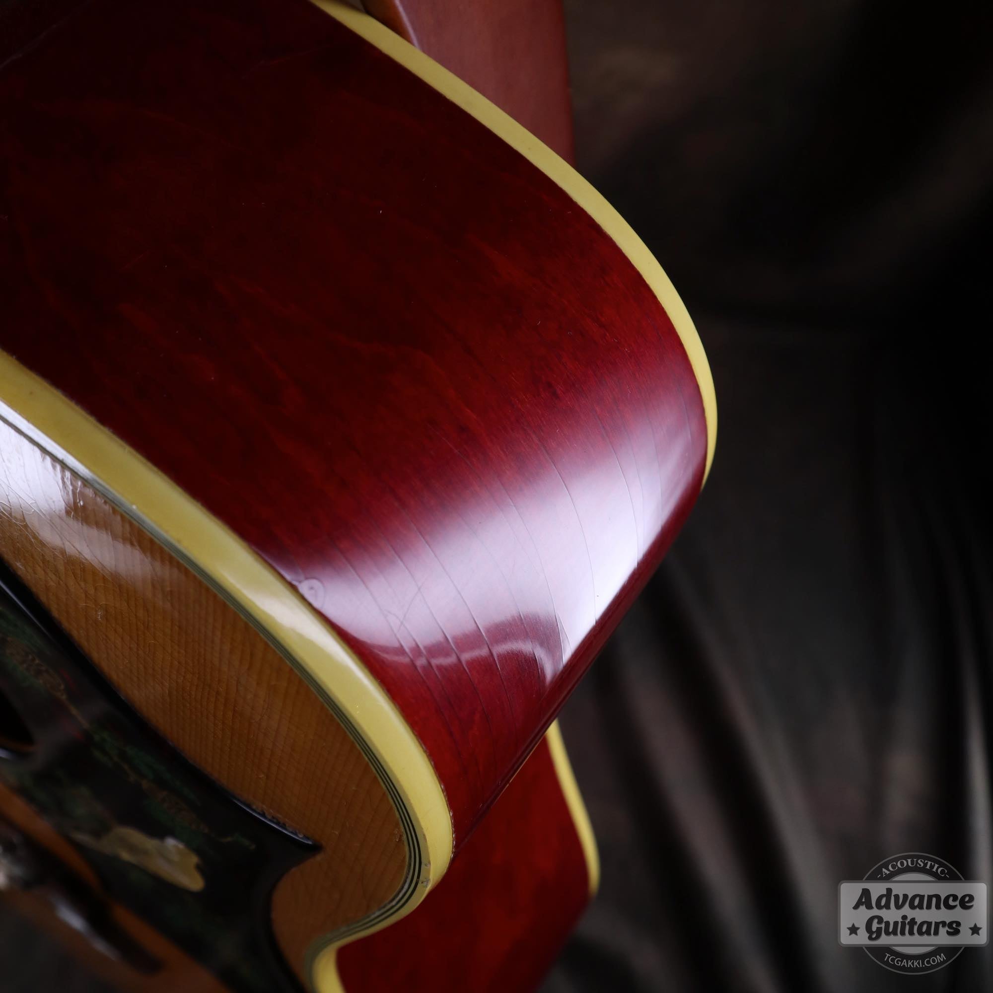 1964年製 Dove Natural - TC楽器 - TCGAKKI