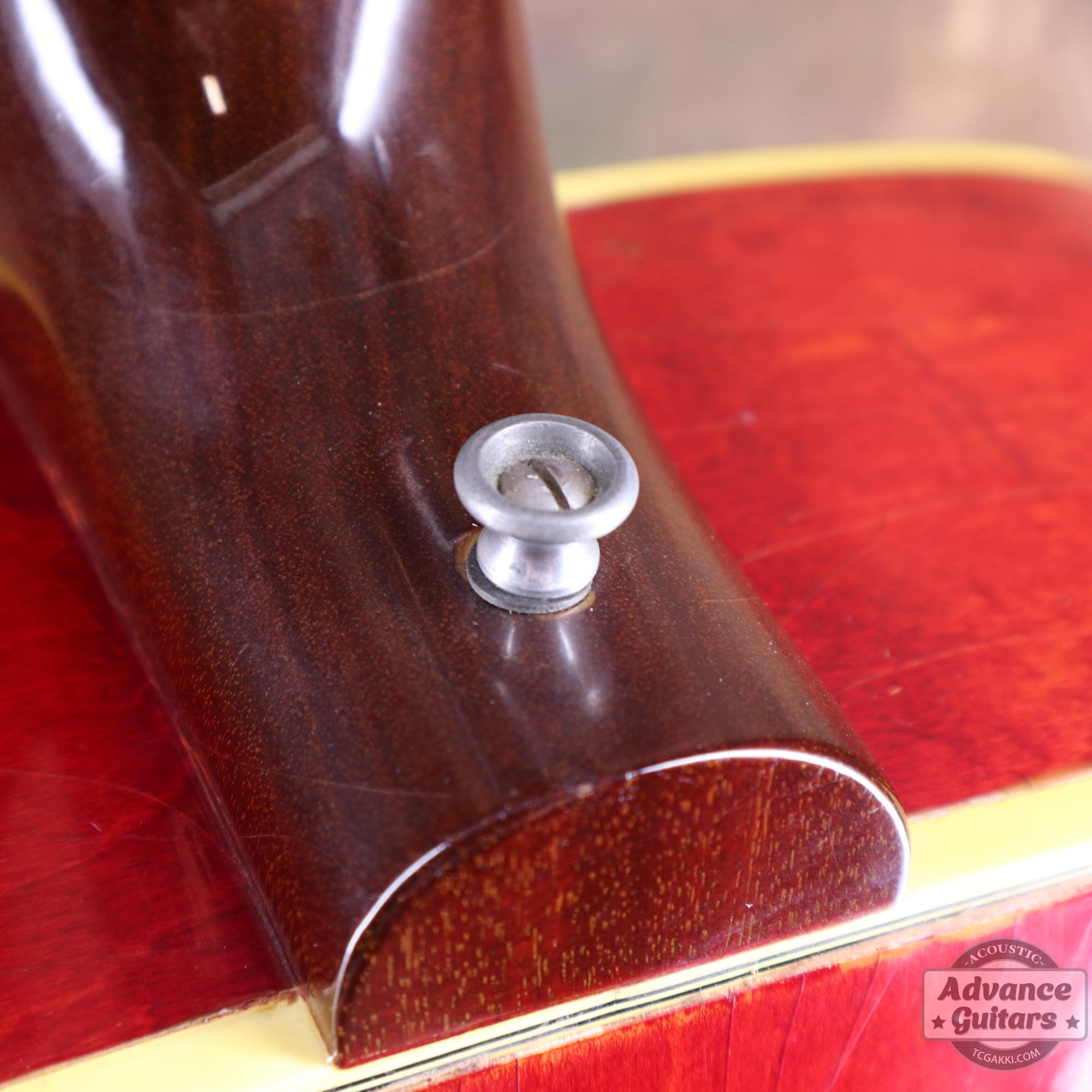 1964年製 Dove Natural - TC楽器 - TCGAKKI