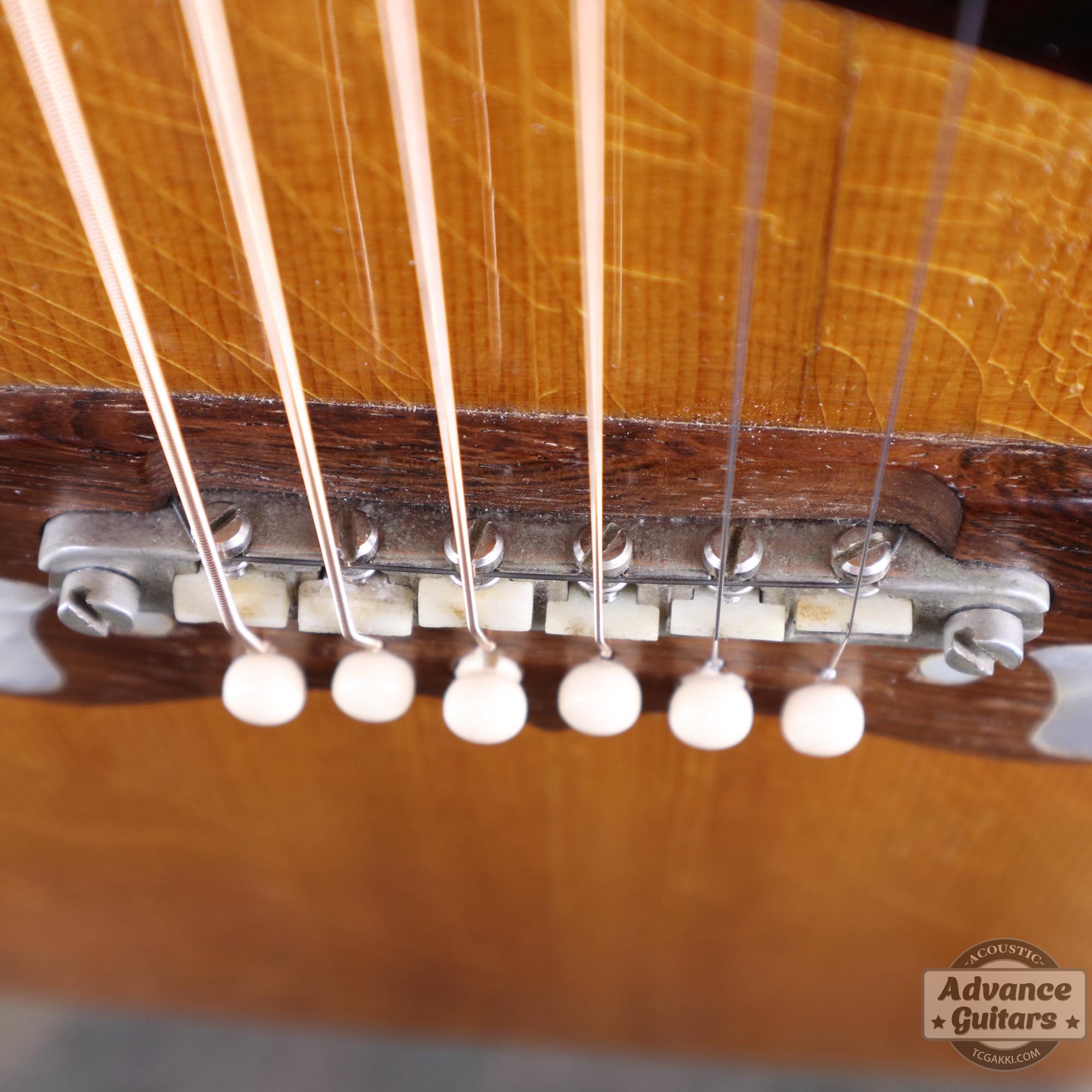 1964年製 Dove Natural - TC楽器 - TCGAKKI