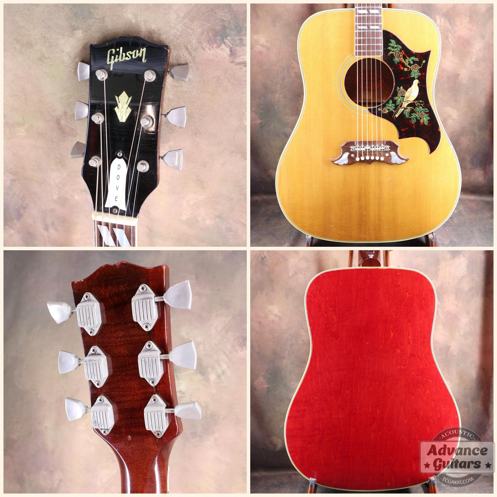 1964年製 Dove Natural