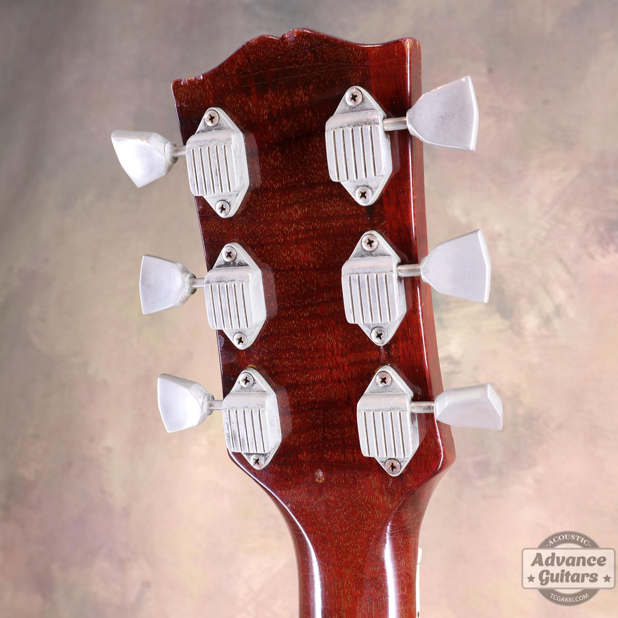 1964年製 Dove Natural - TC楽器 - TCGAKKI