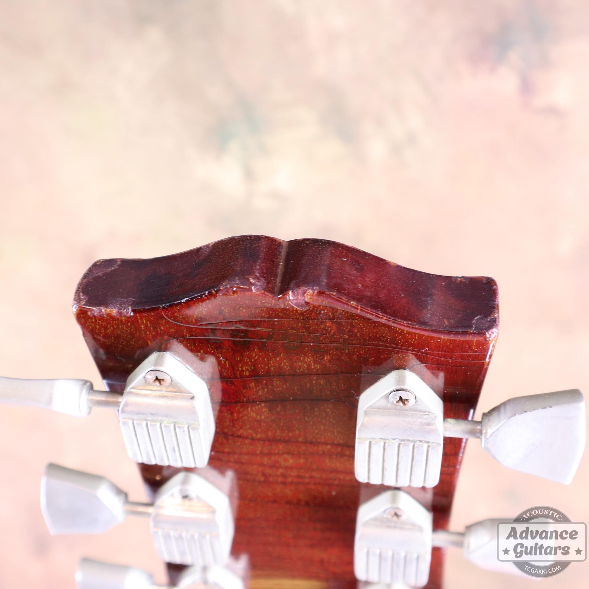 1964年製 Dove Natural - TC楽器 - TCGAKKI