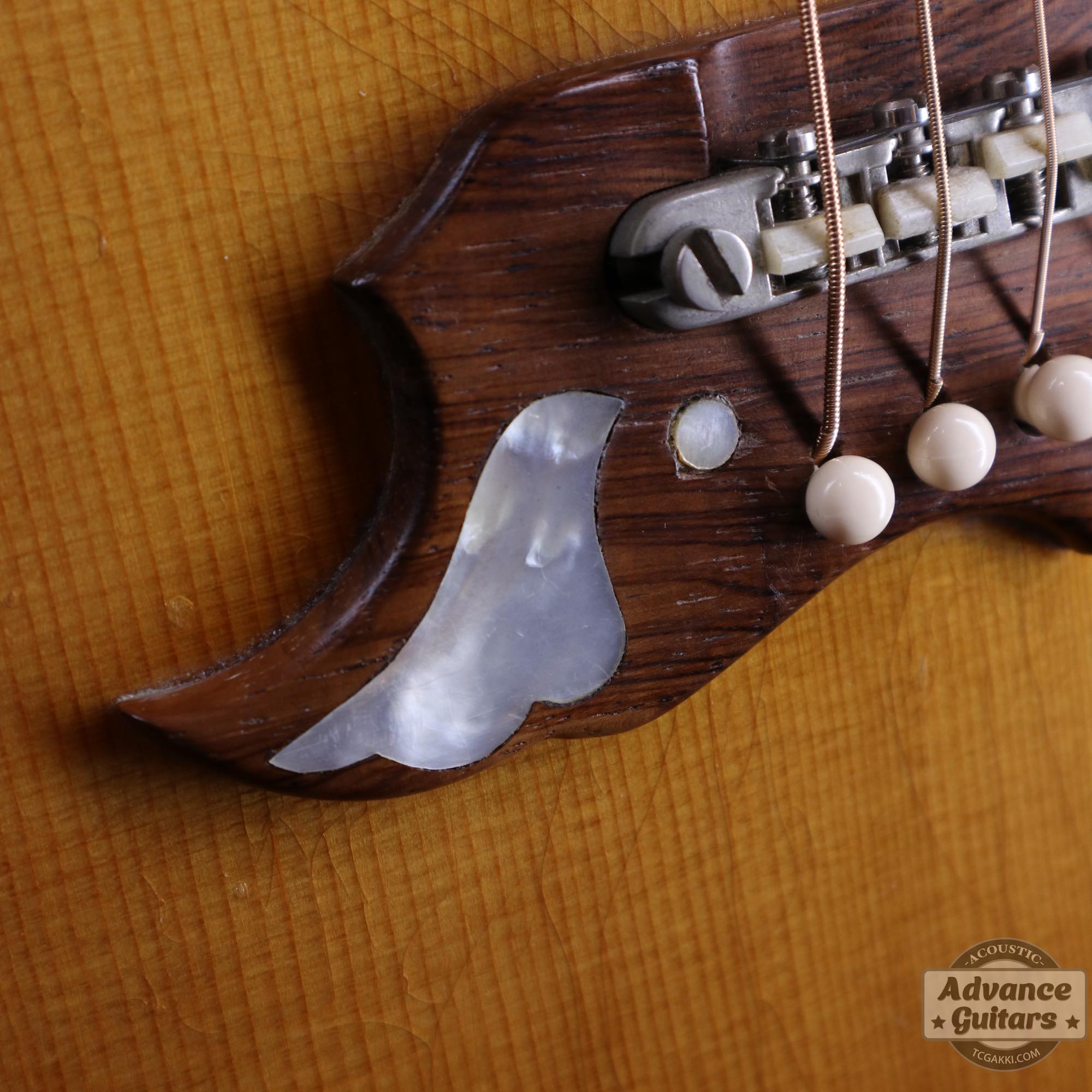 1964年製 Dove Natural - TC楽器 - TCGAKKI