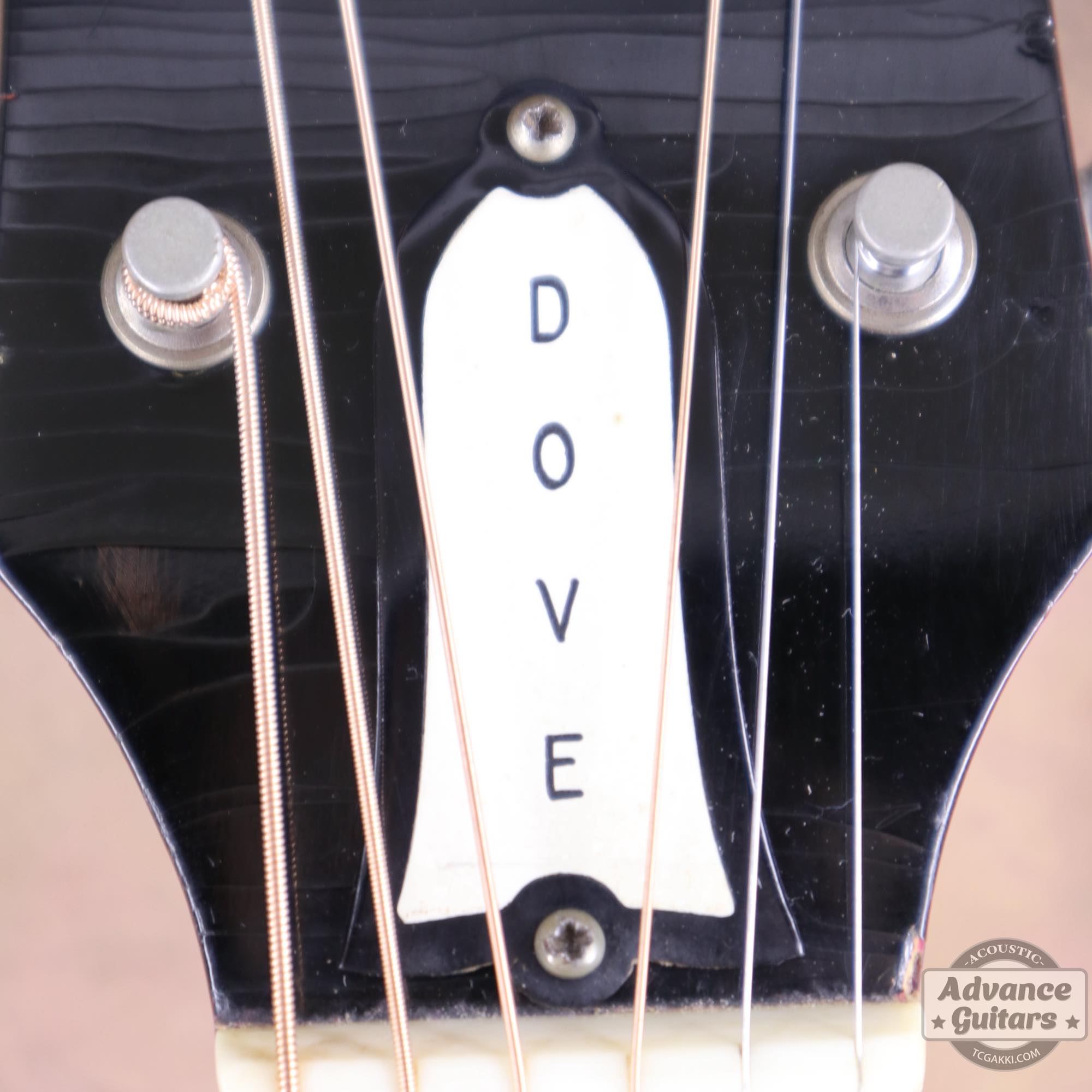 1964年製 Dove Natural - TC楽器 - TCGAKKI