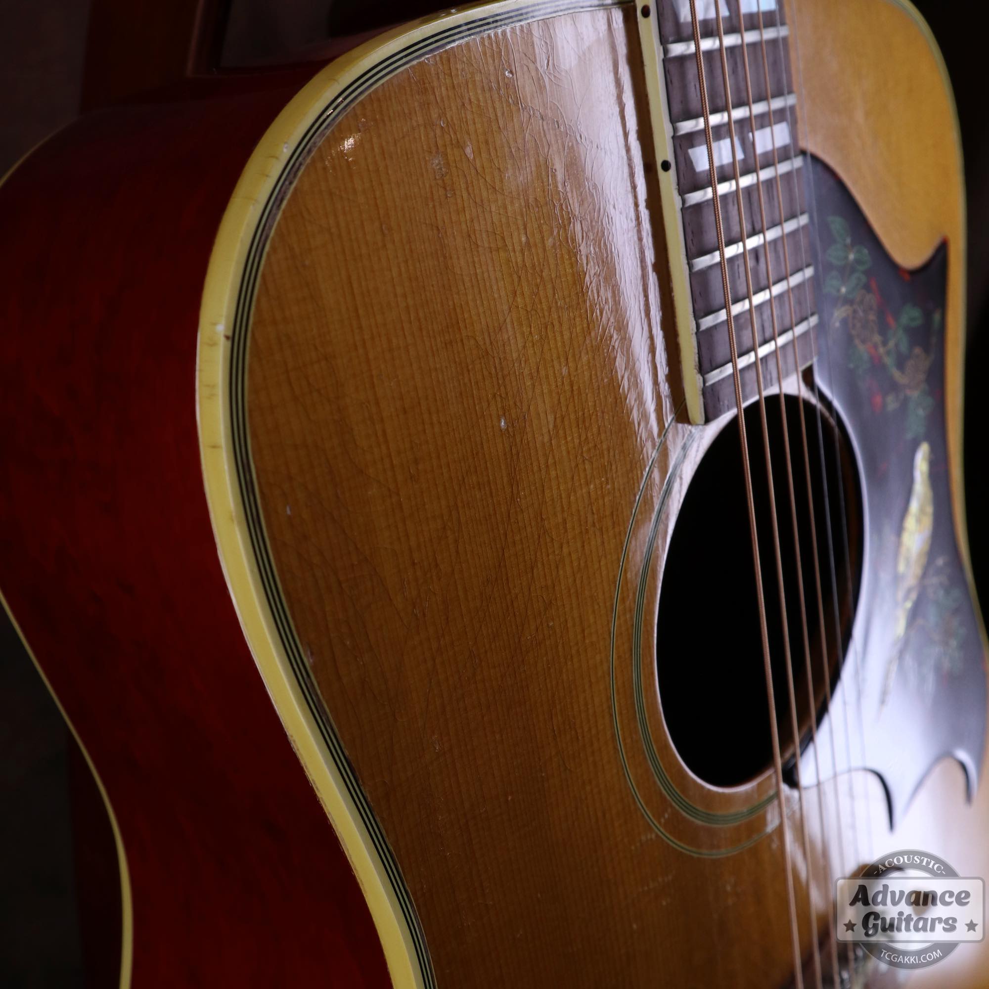 1964年製 Dove Natural - TC楽器 - TCGAKKI