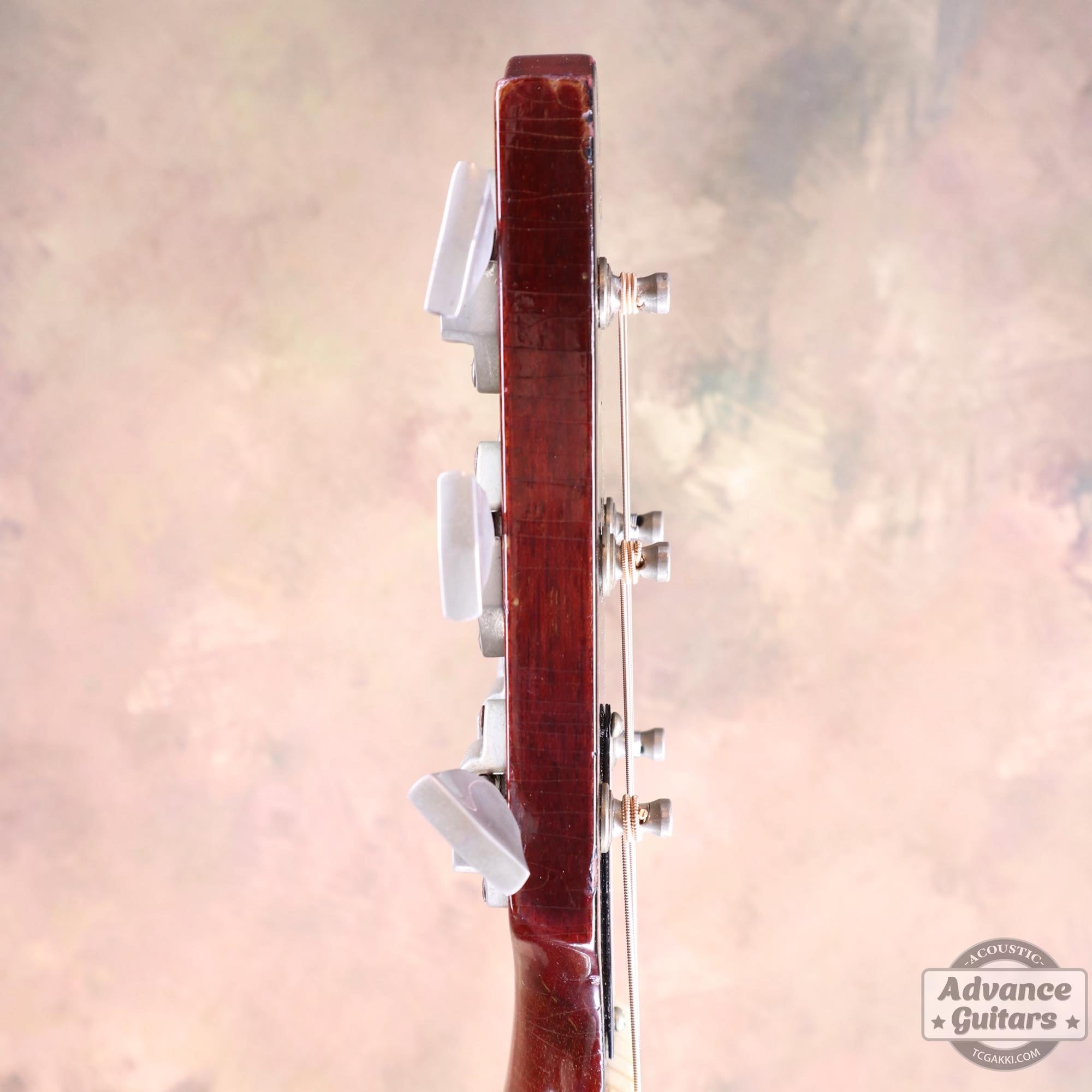 1964年製 Dove Natural - TC楽器 - TCGAKKI