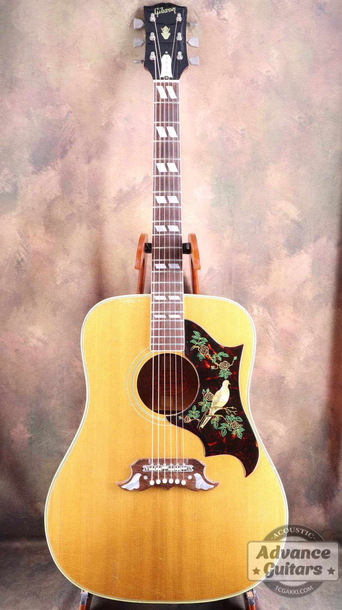 1964年製 Dove Natural - TC楽器 - TCGAKKI