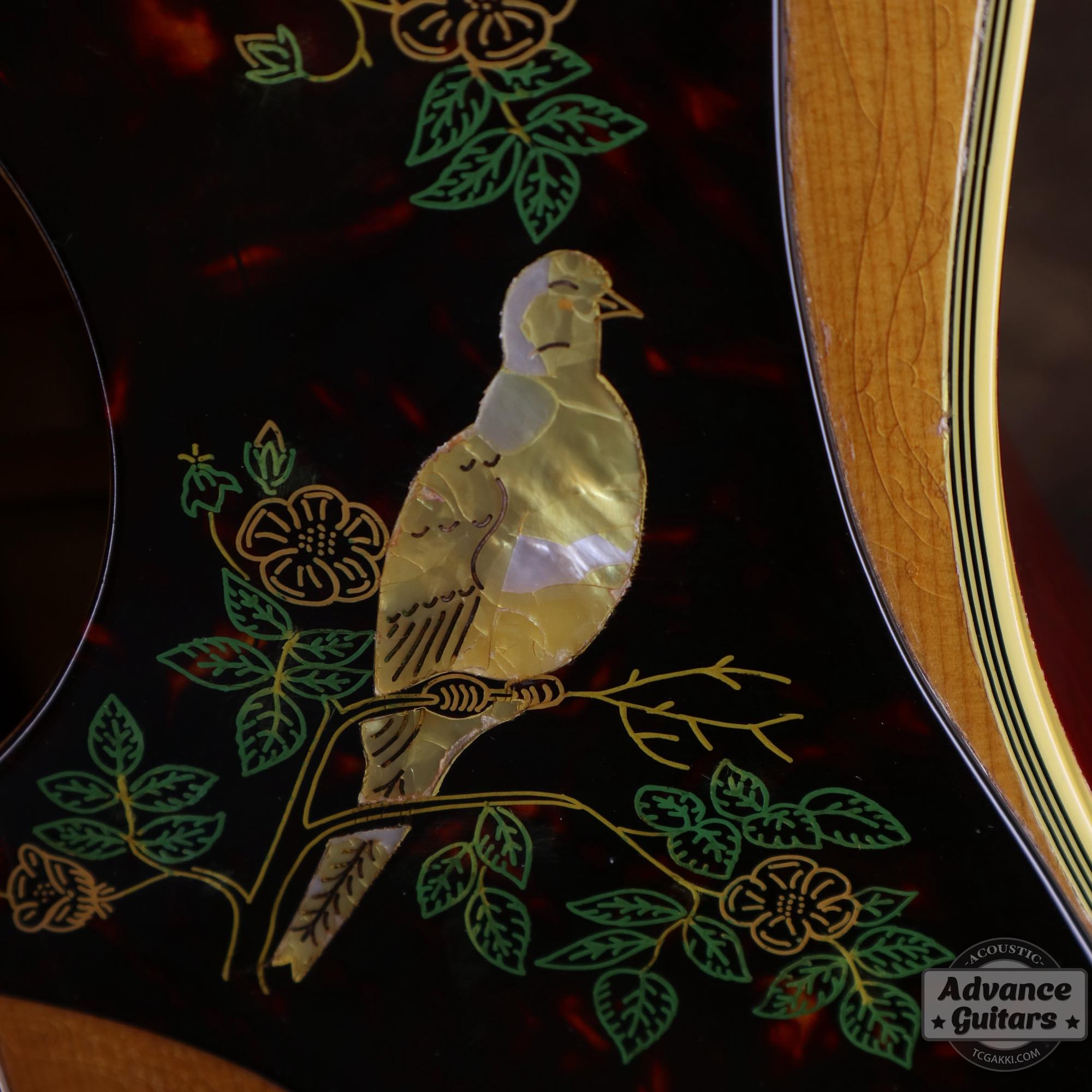 1964年製 Dove Natural - TC楽器 - TCGAKKI