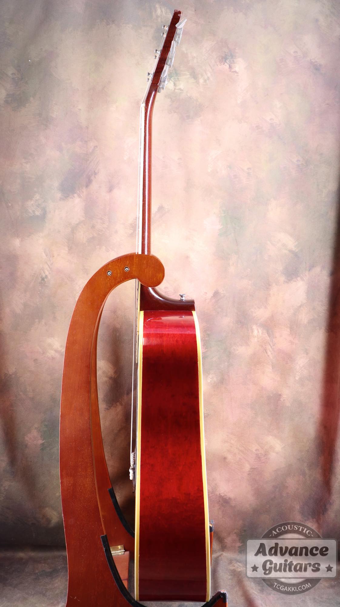 1964年製 Dove Natural - TC楽器 - TCGAKKI