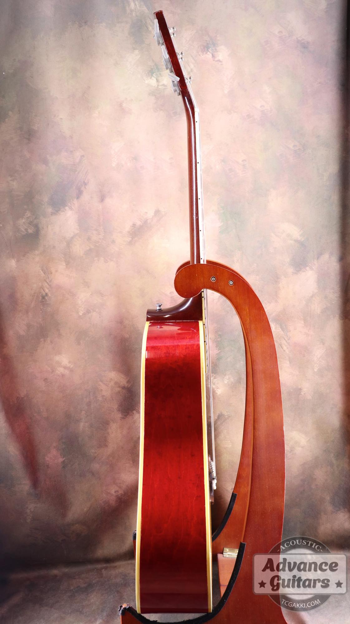 1964年製 Dove Natural - TC楽器 - TCGAKKI