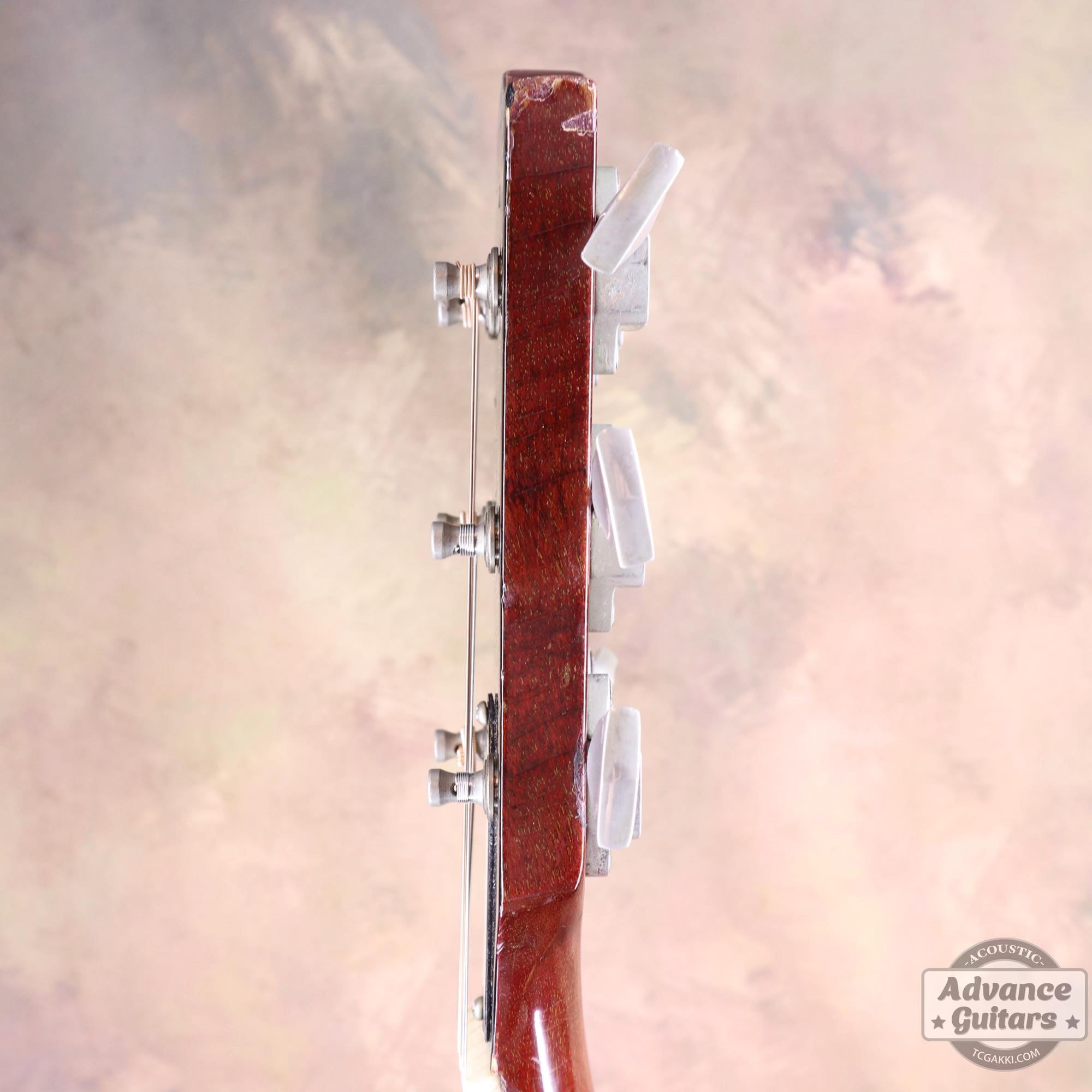 1964年製 Dove Natural - TC楽器 - TCGAKKI