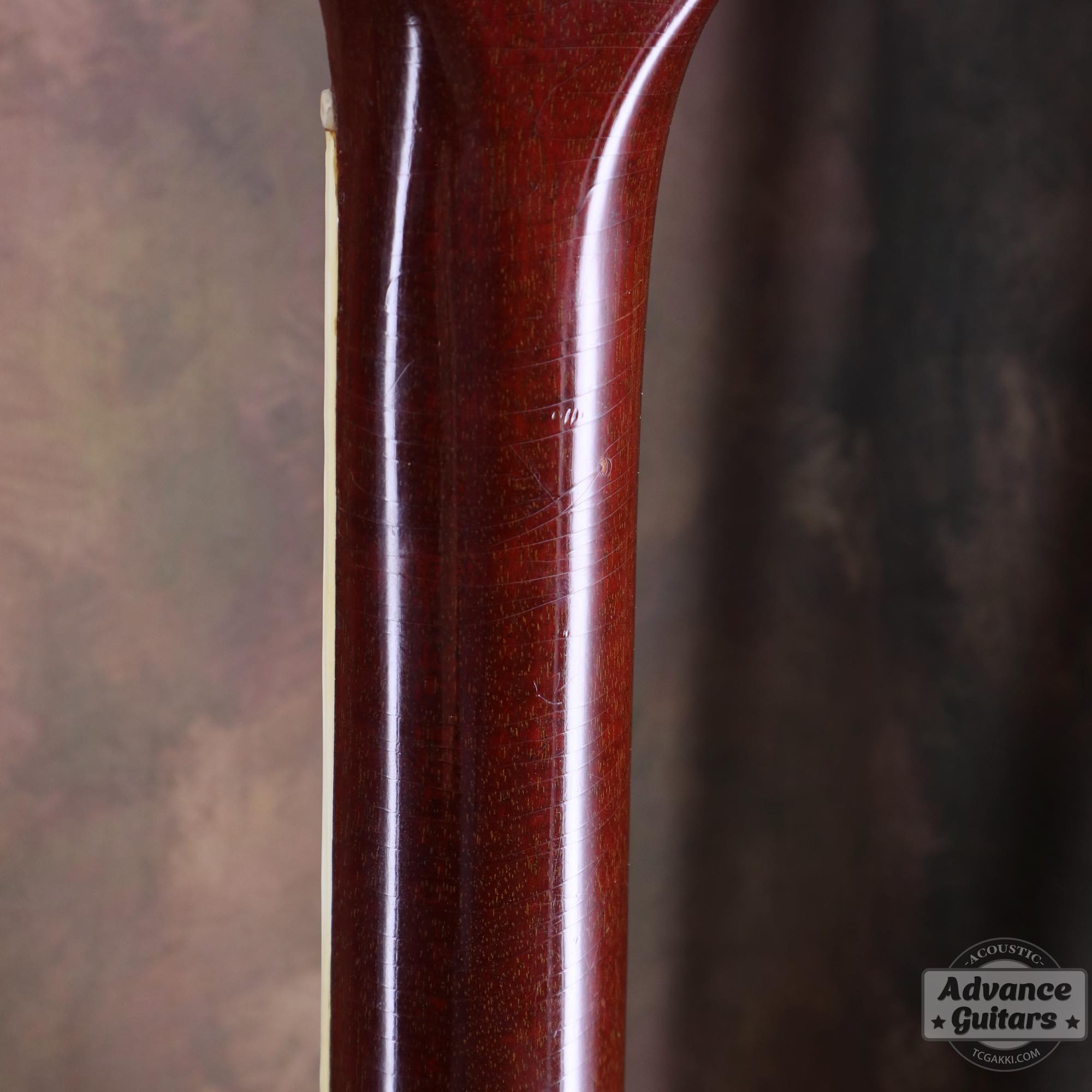 1964年製 Dove Natural - TC楽器 - TCGAKKI