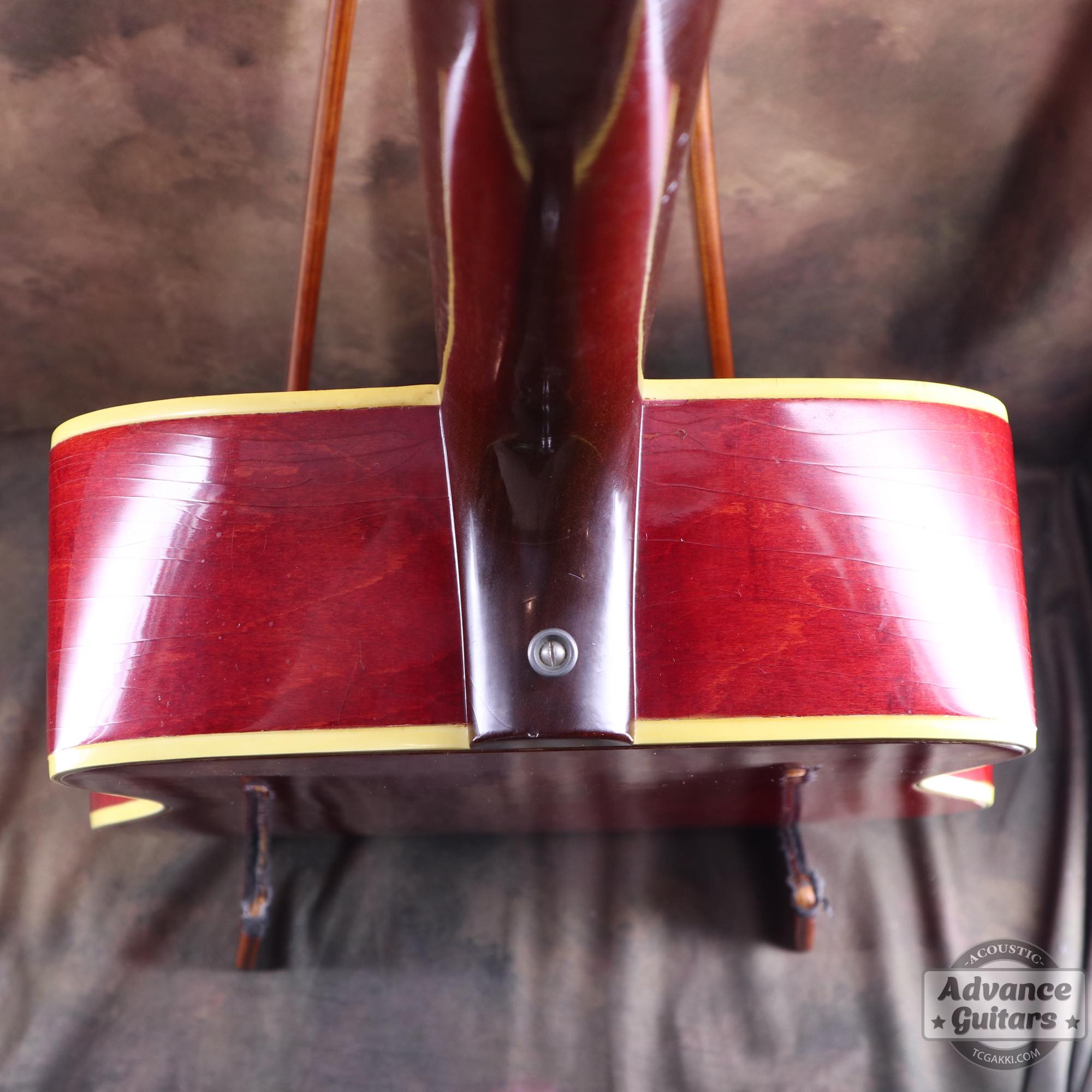 1964年製 Dove Natural - TC楽器 - TCGAKKI