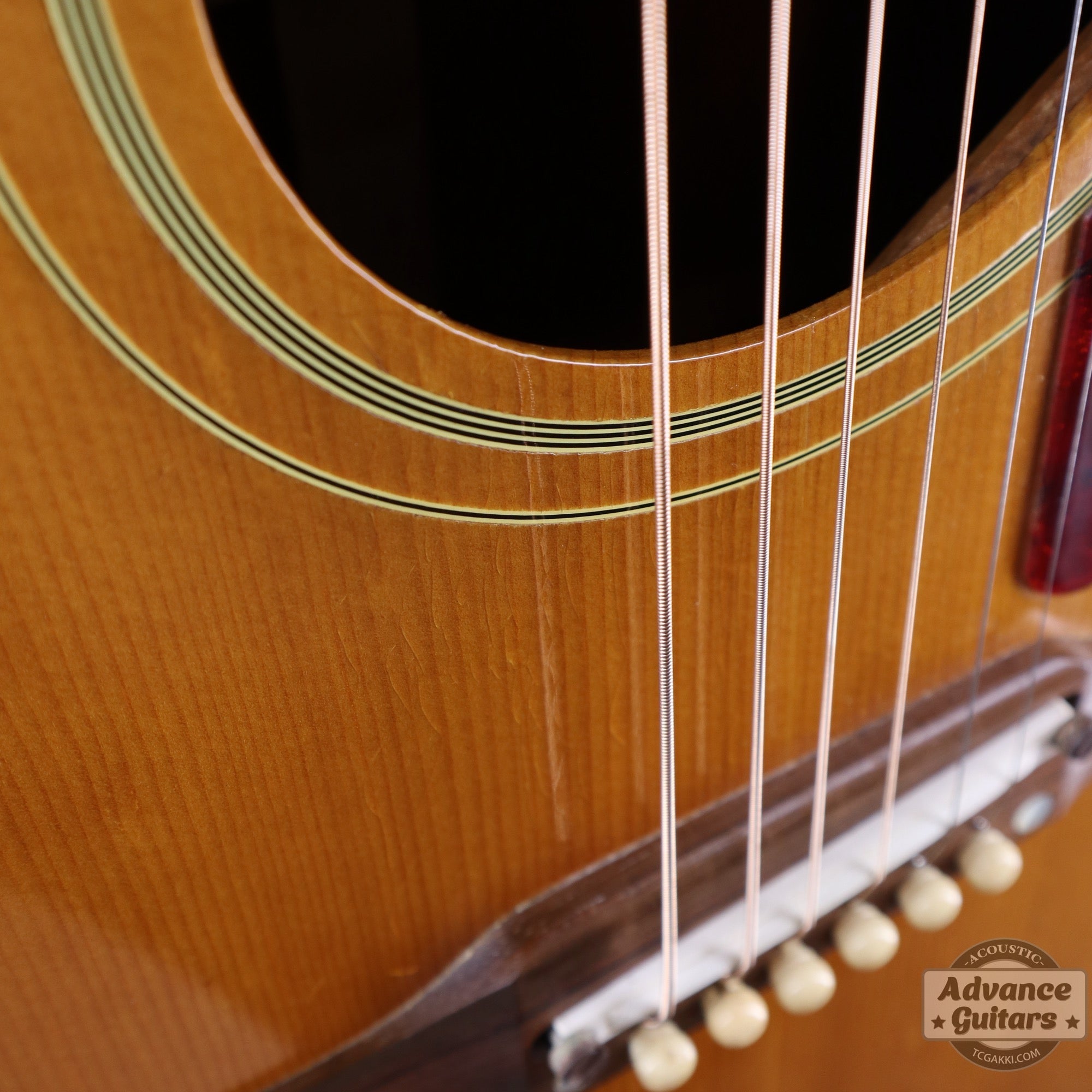 1964年製 J - 50 ADJ - TC楽器 - TCGAKKI