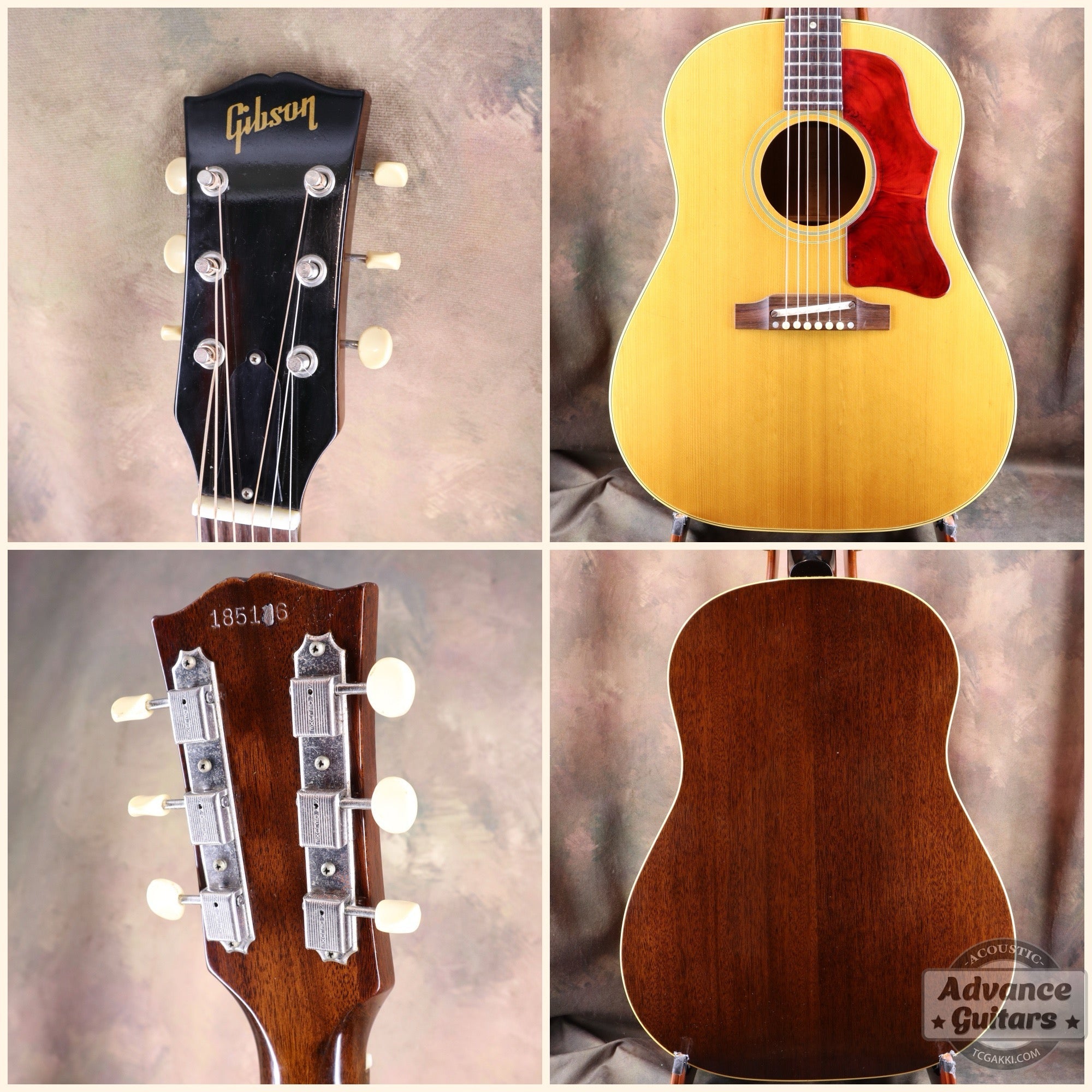 1964年製 J - 50 ADJ - TC楽器 - TCGAKKI