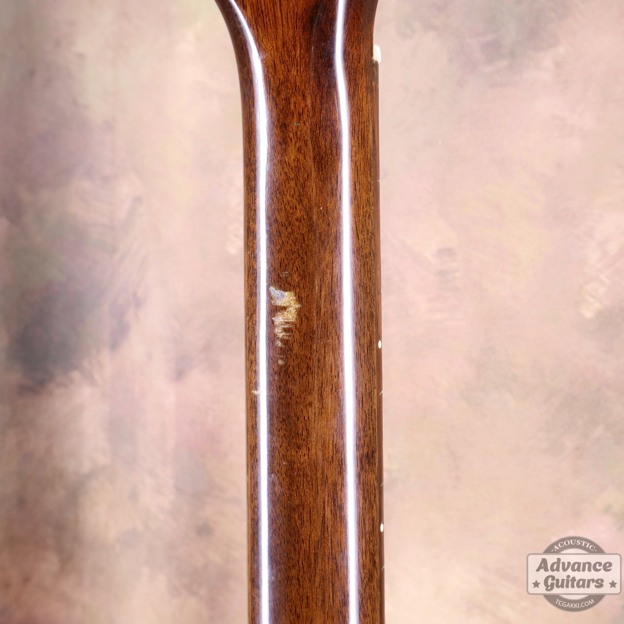 1964年製 J - 50 ADJ - TC楽器 - TCGAKKI