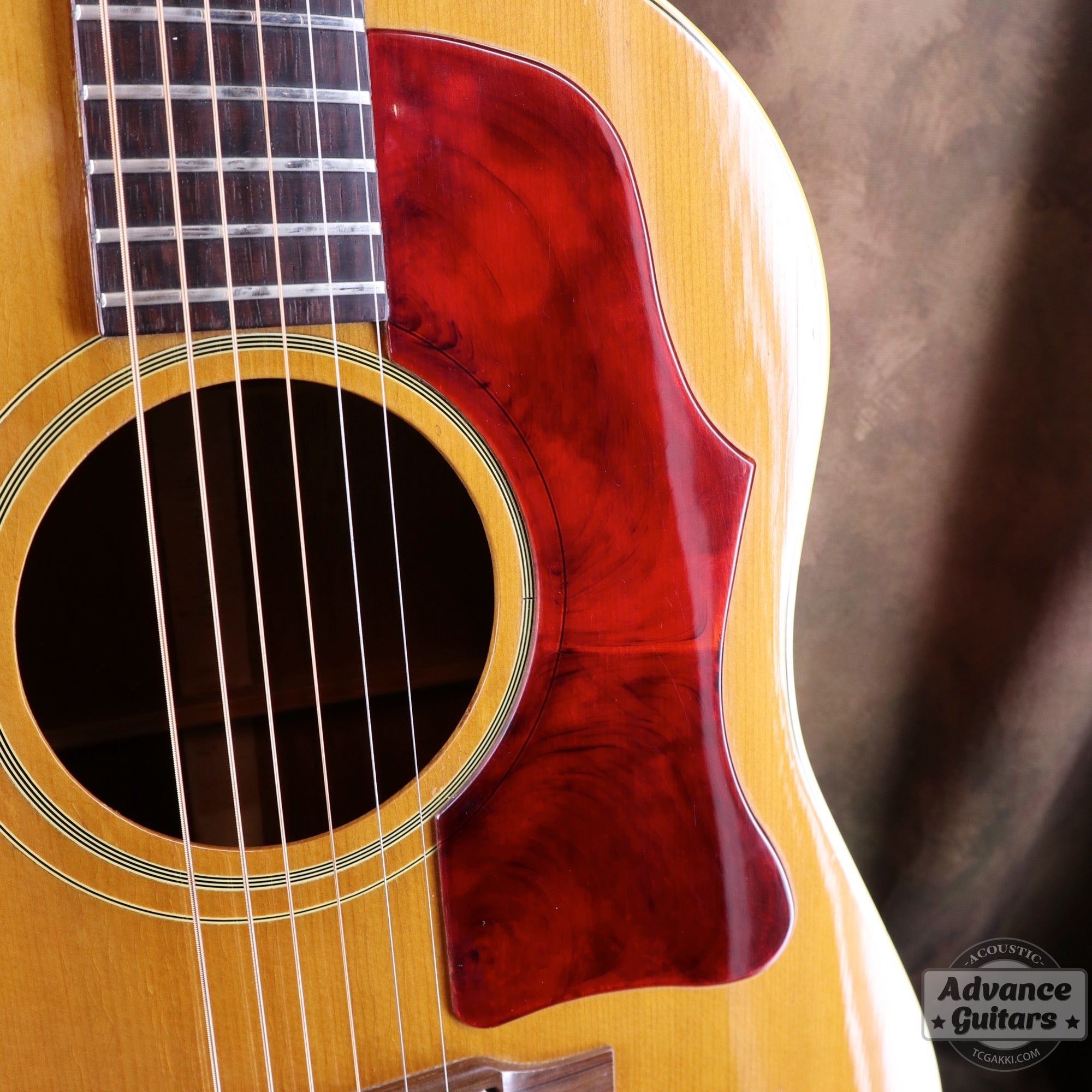 1964年製 J - 50 ADJ - TC楽器 - TCGAKKI