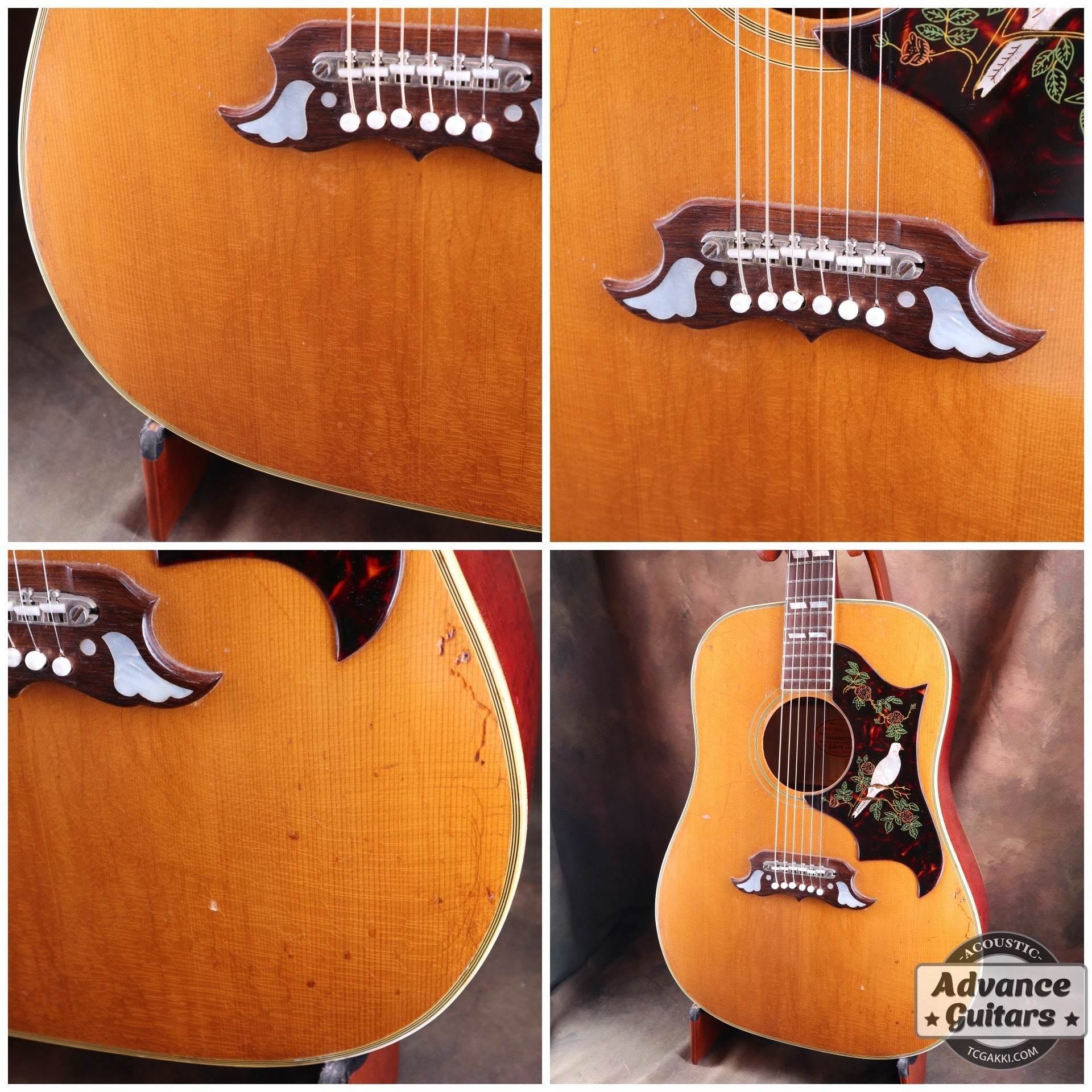 Itami！Gibson Dove 1981年製 Gibson Dove Custom|ドルフィンギターズ