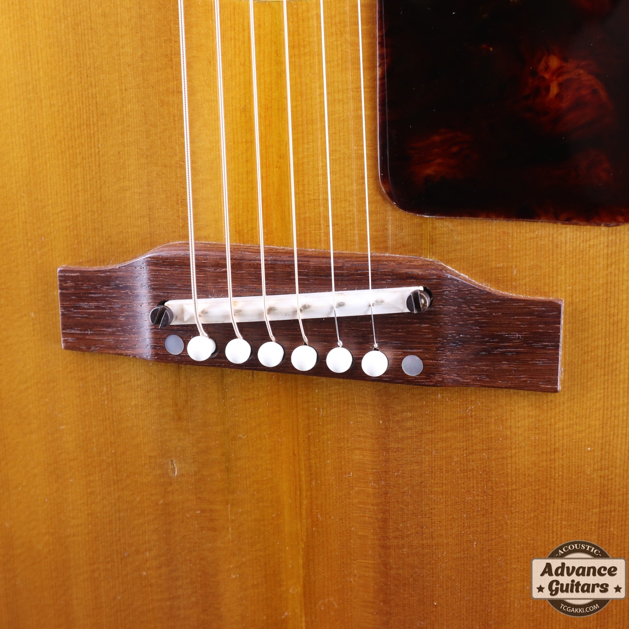 1966年製 FT - 45 Cortez - TC楽器 - TCGAKKI