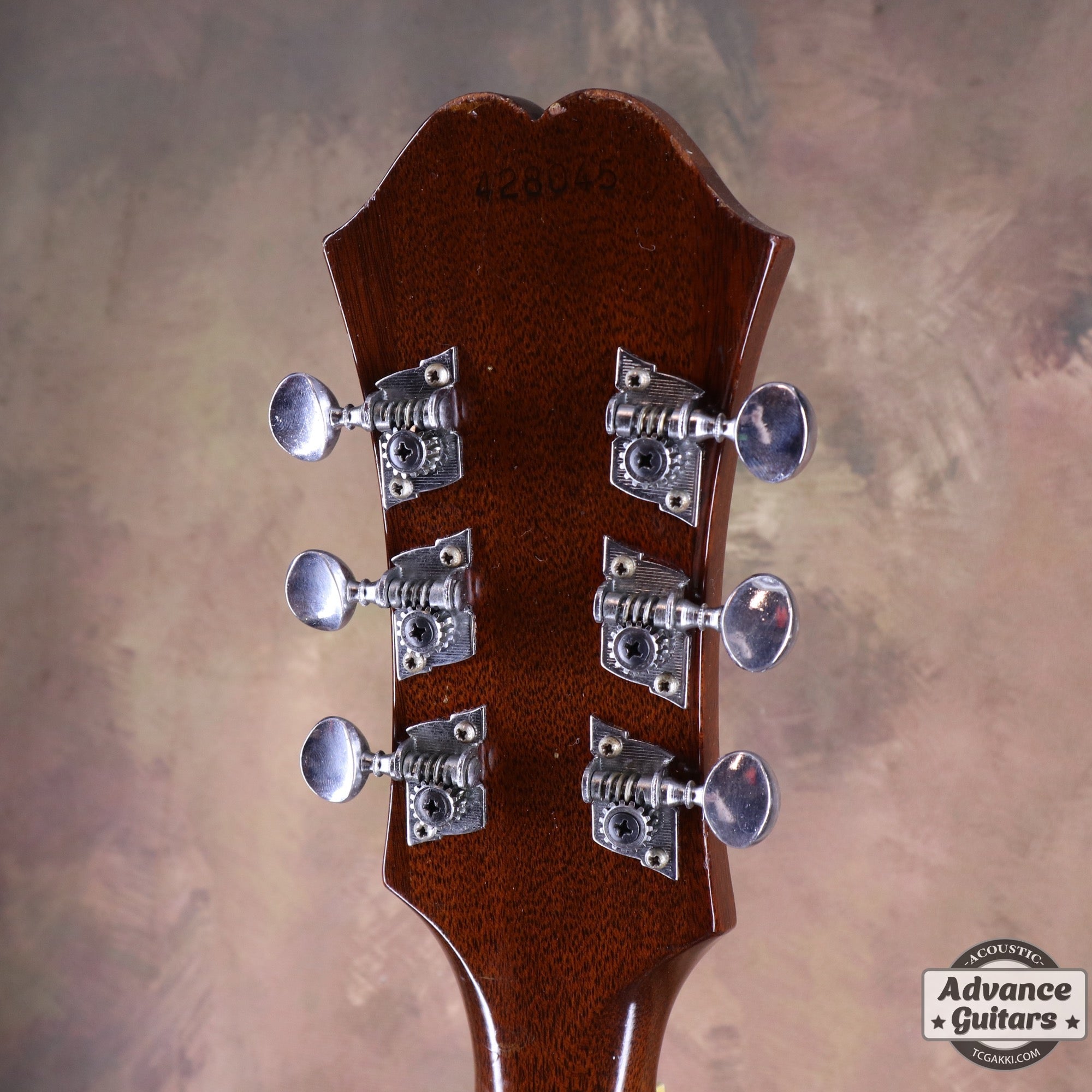 1966年製 FT - 45 Cortez - TC楽器 - TCGAKKI