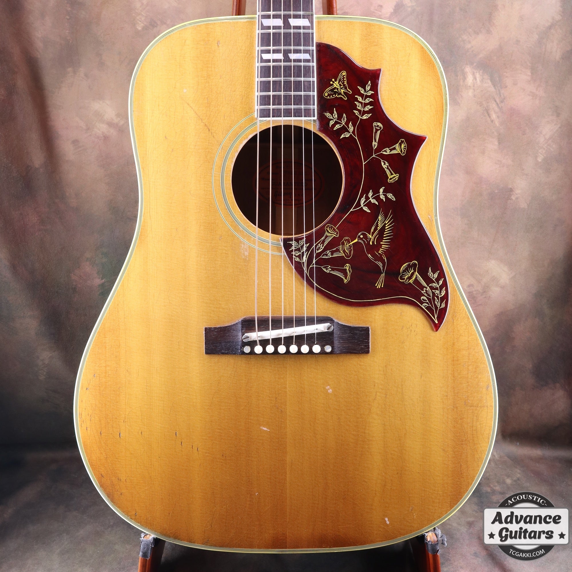 1966年製 Hummingbird - TC楽器 - TCGAKKI