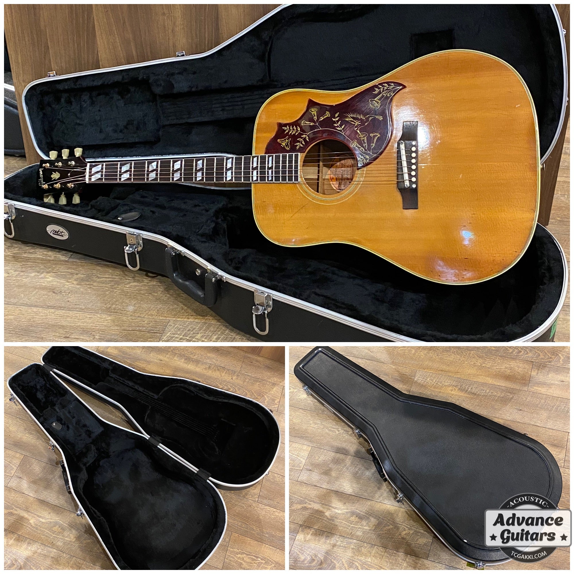 1966年製 Hummingbird - TC楽器 - TCGAKKI