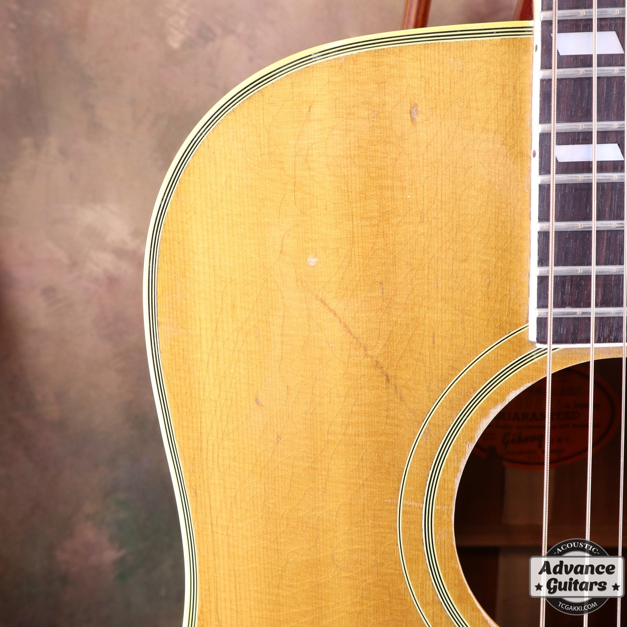 1966年製 Hummingbird - TC楽器 - TCGAKKI