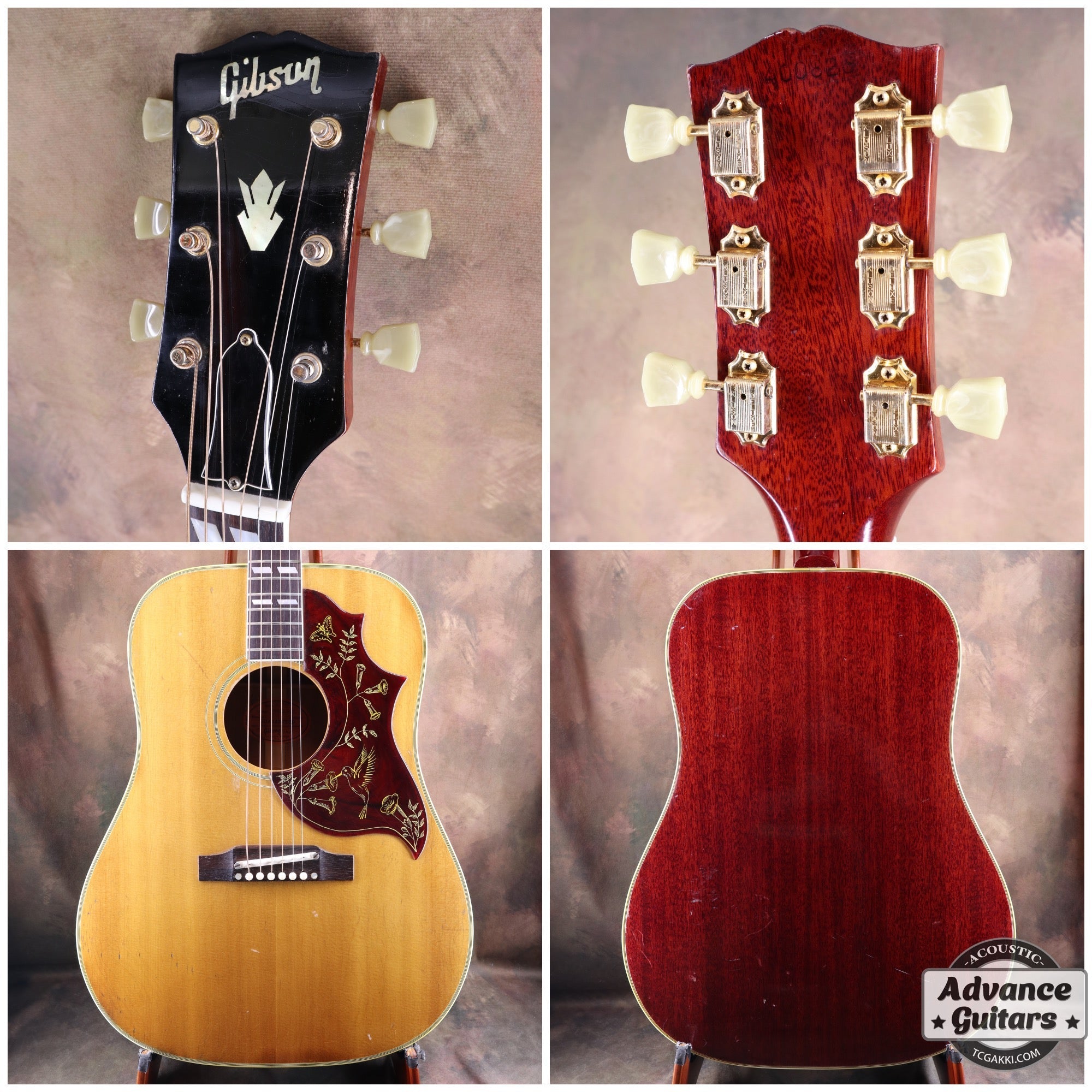 1966年製 Hummingbird - TC楽器 - TCGAKKI