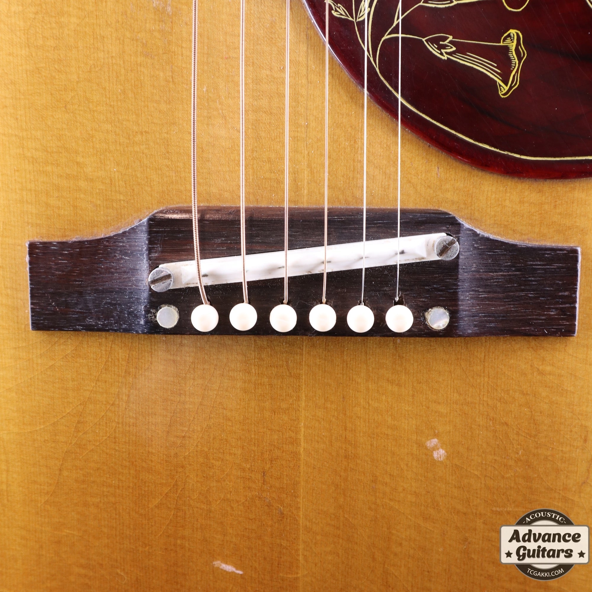 1966年製 Hummingbird - TC楽器 - TCGAKKI