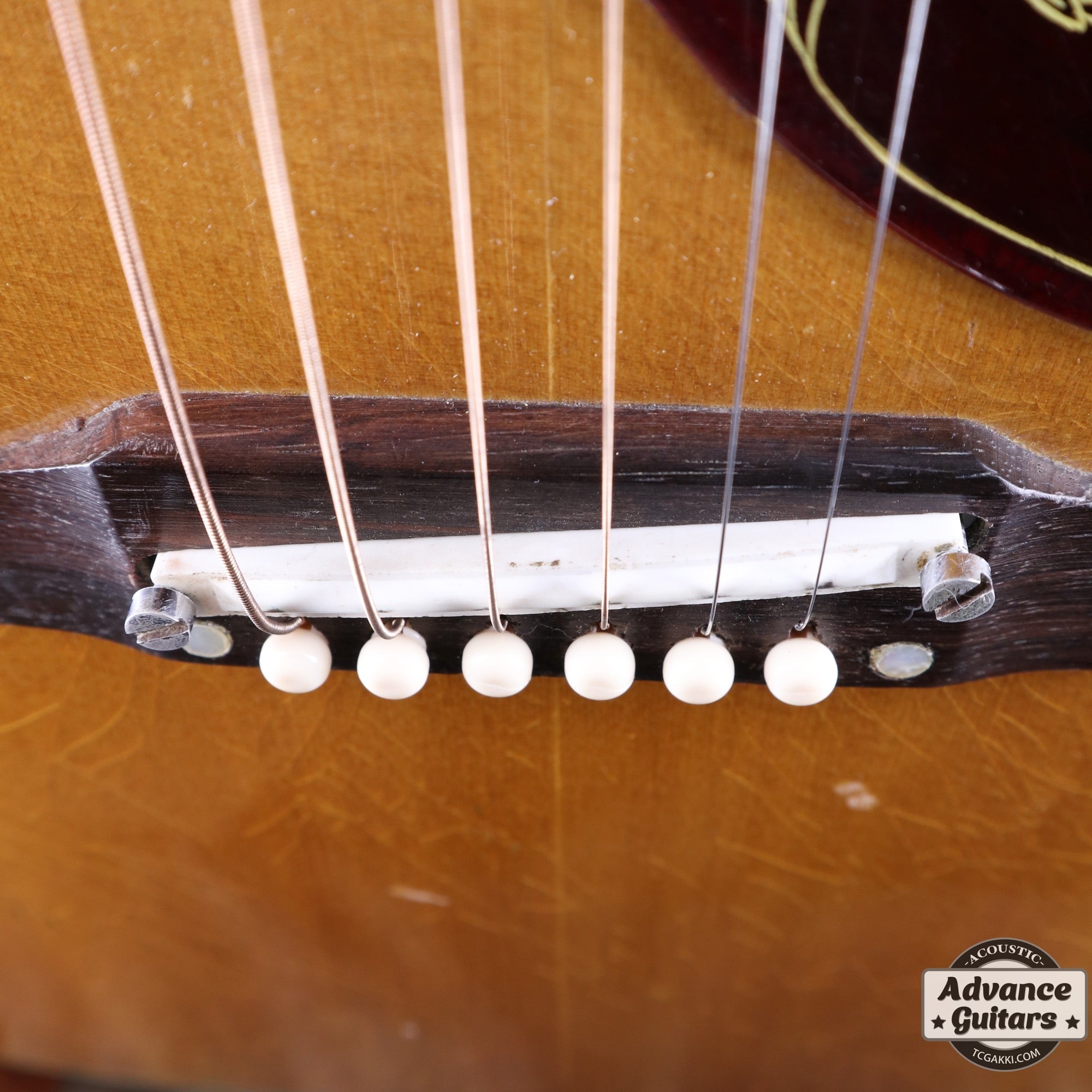 1966年製 Hummingbird - TC楽器 - TCGAKKI