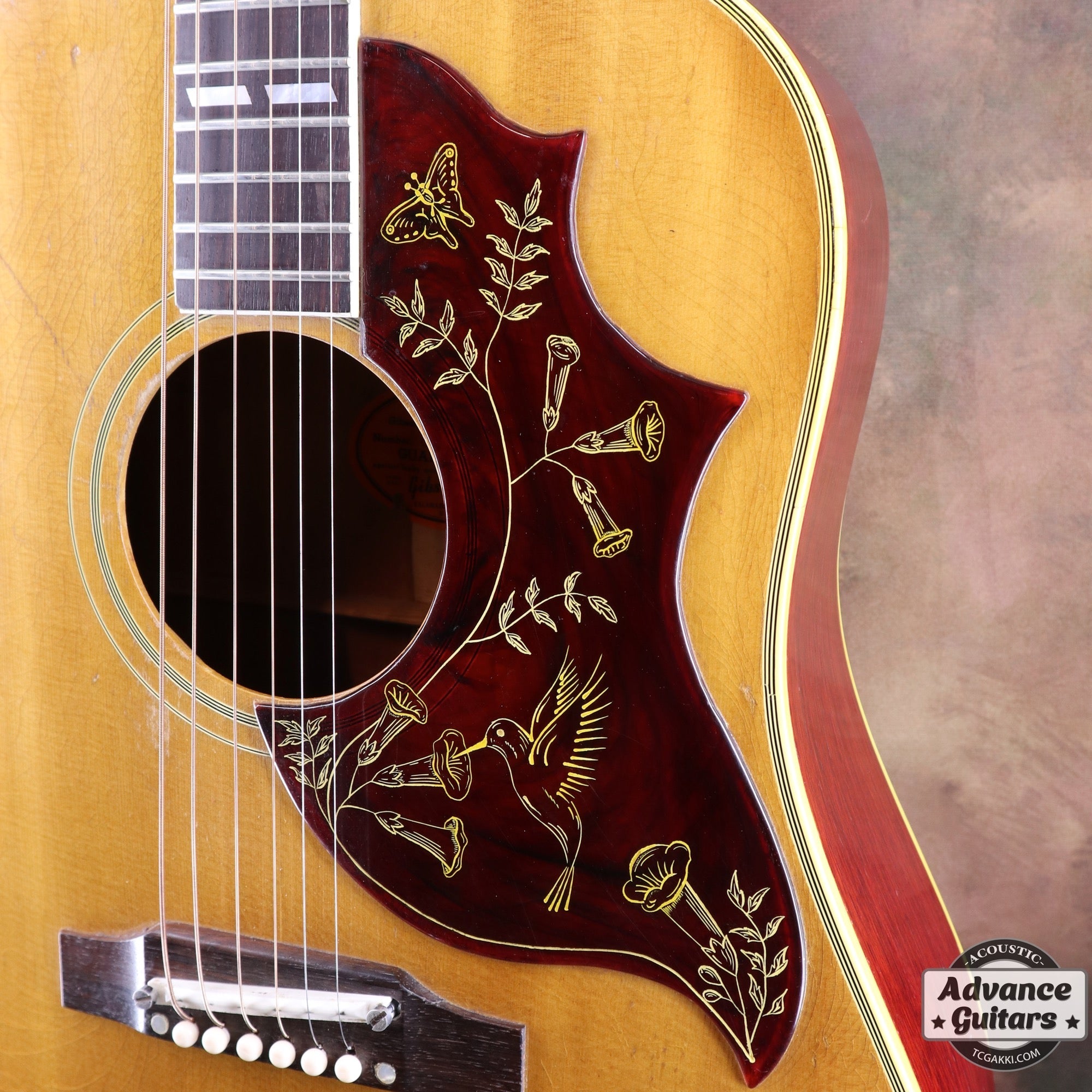 楽器 1286  Humming Bird 1963年製 Hummingbird Maple