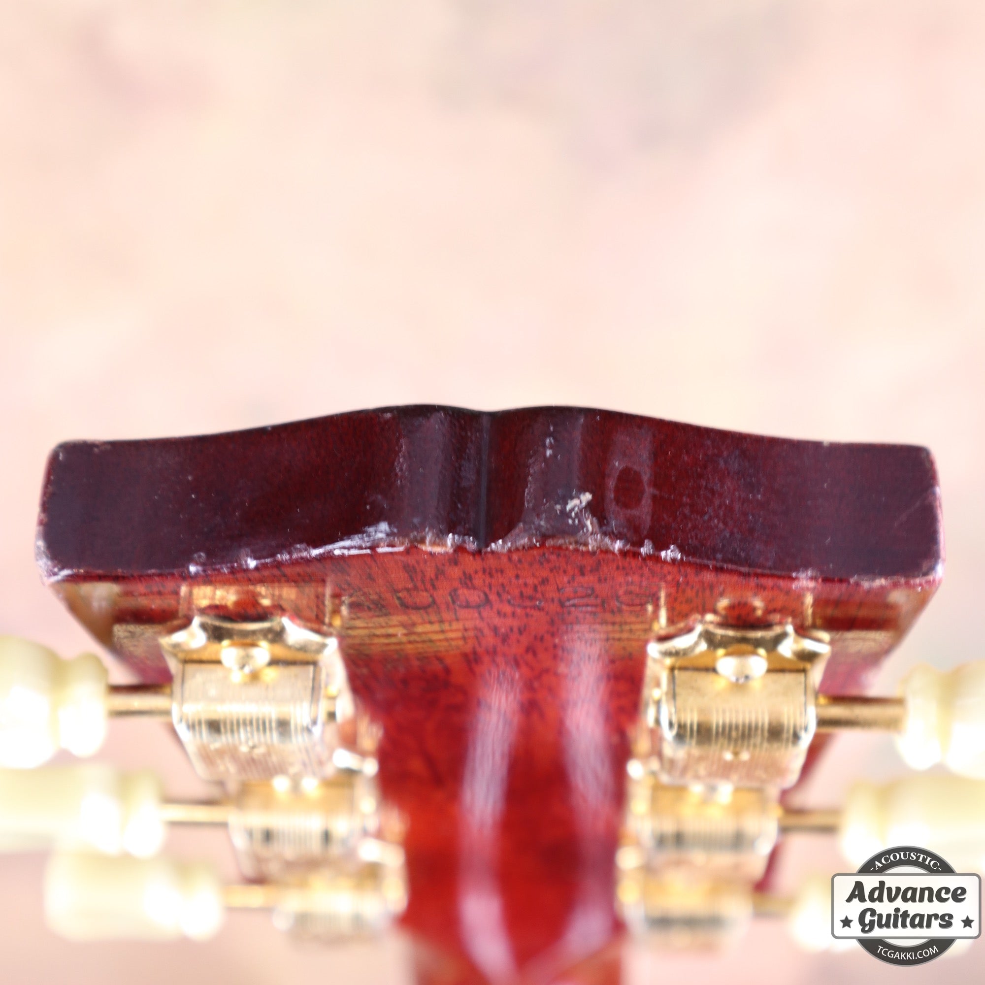 1966年製 Hummingbird - TC楽器 - TCGAKKI