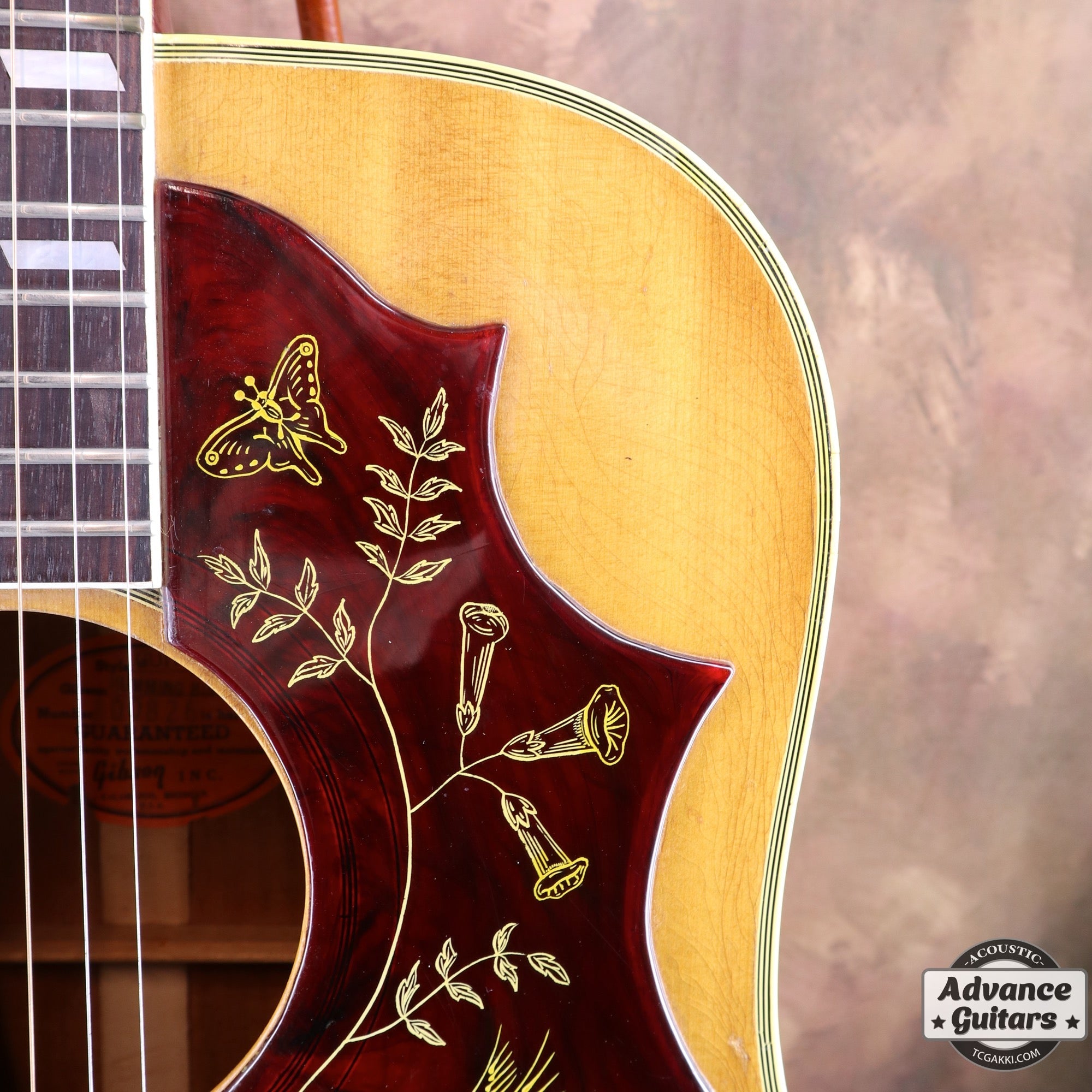 1966年製 Hummingbird - TC楽器 - TCGAKKI